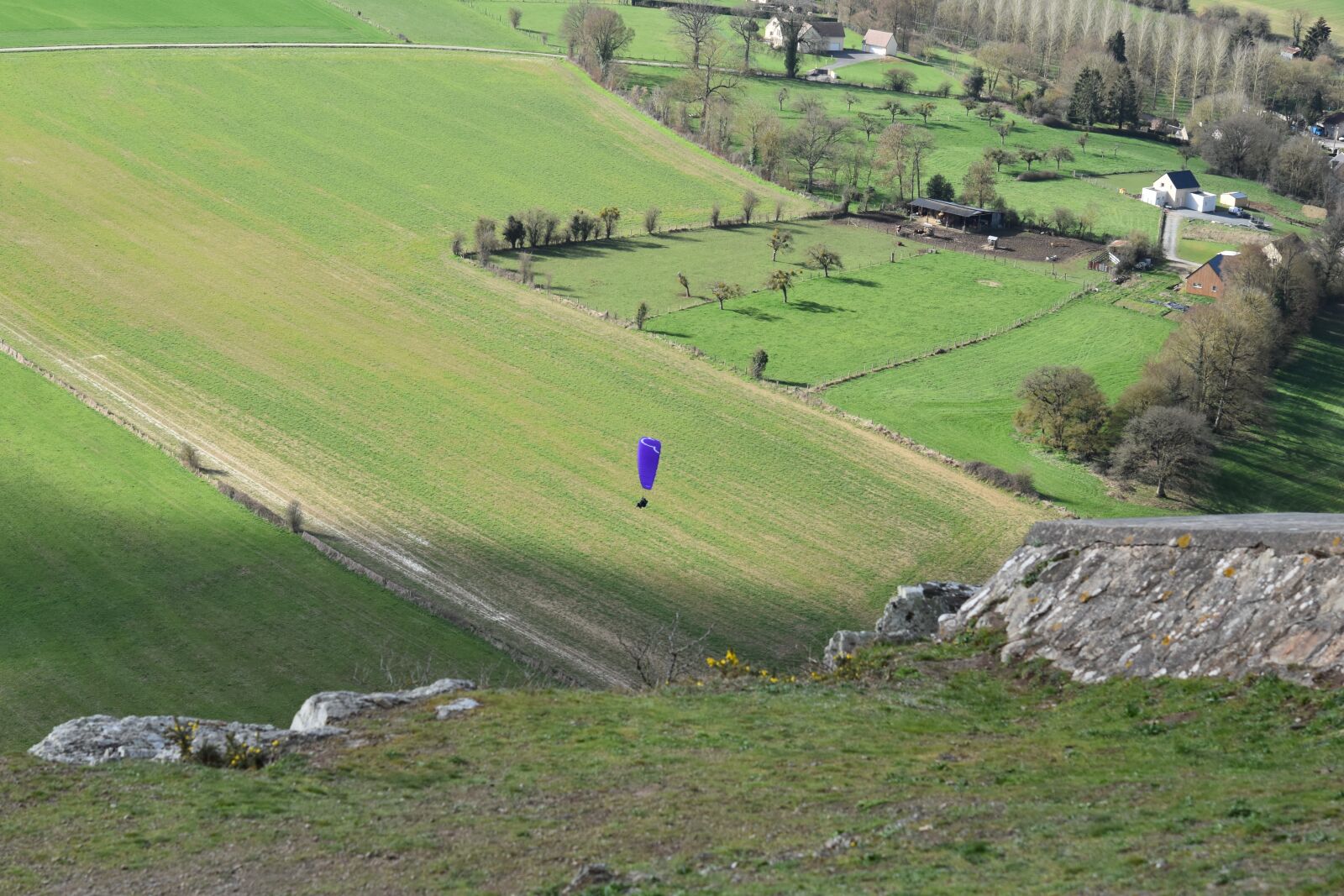 Nikon D5600 sample photo. Panoramic views, plain, fields photography