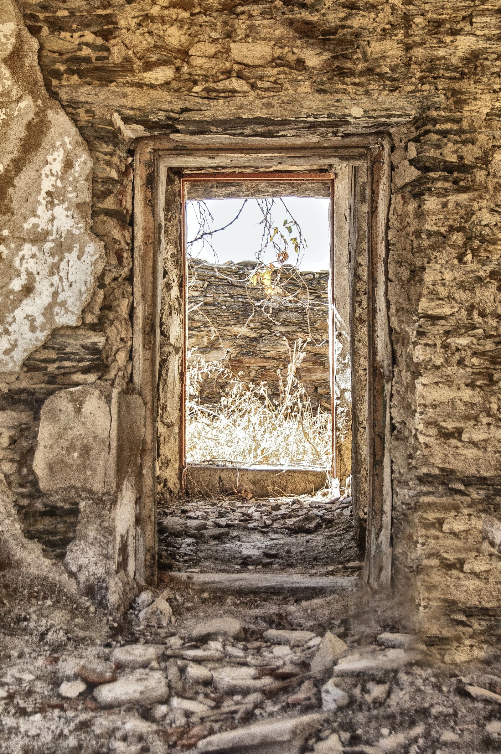 Nikon D2Xs sample photo. Old, wood, abandoned photography