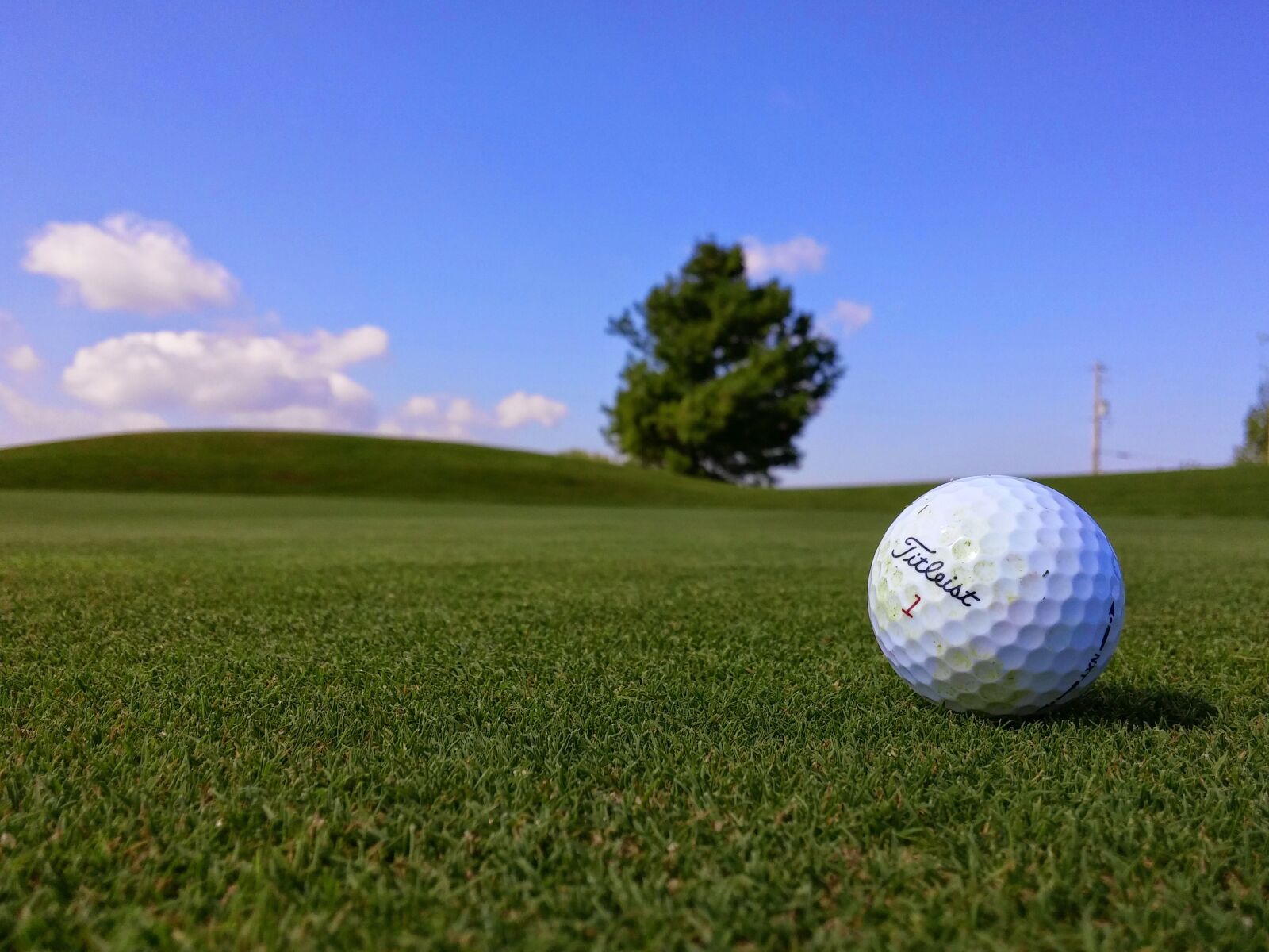 LG G3 sample photo. Titleist, golf, ball photography