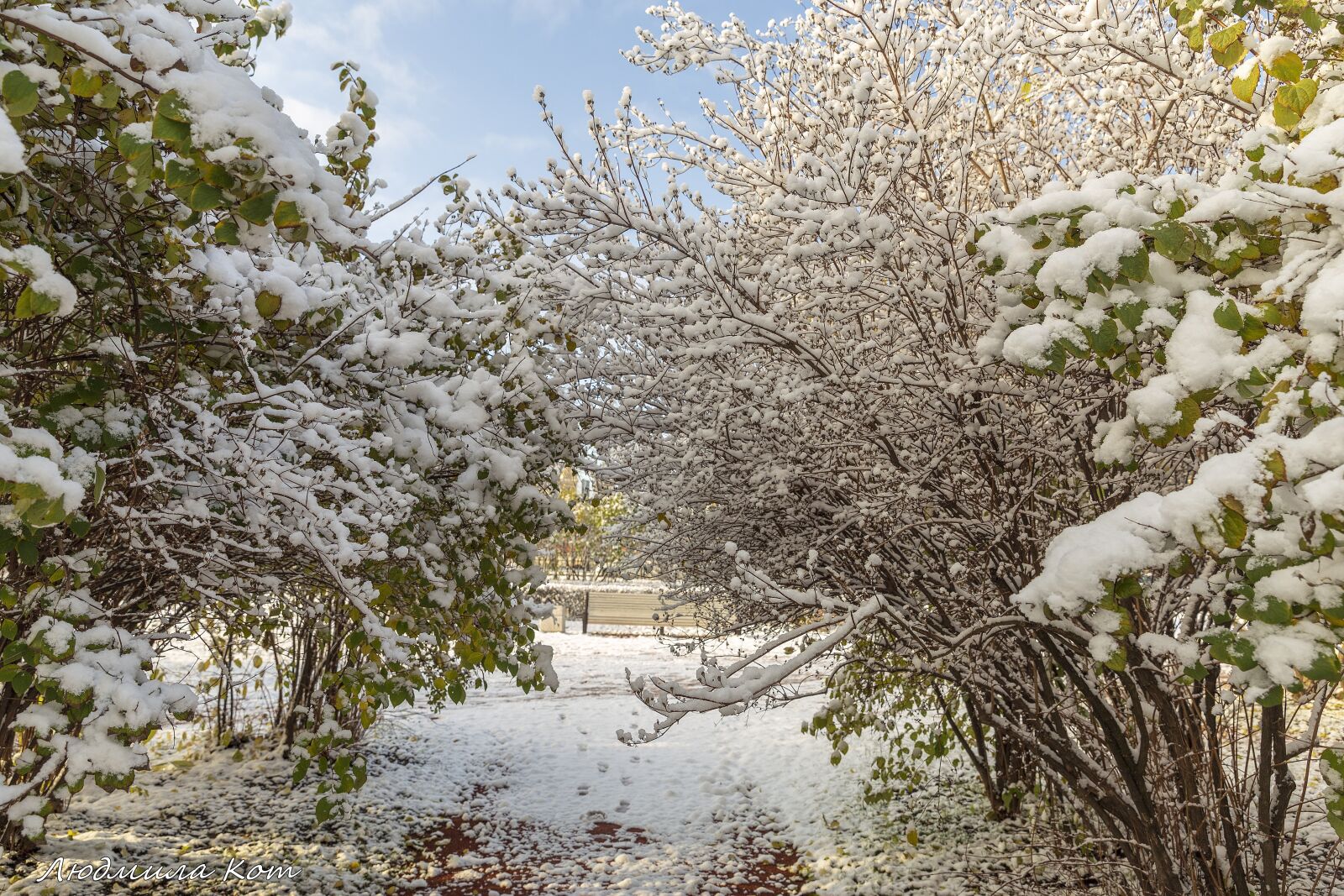 Canon EF 24-70mm F2.8L II USM sample photo. The first snow, snow photography