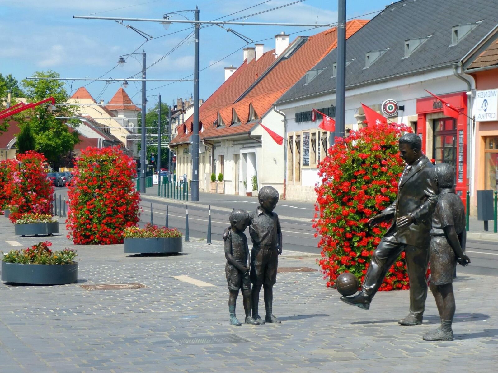 Panasonic DMC-SZ9 sample photo. Street, statue, monument, flowers photography