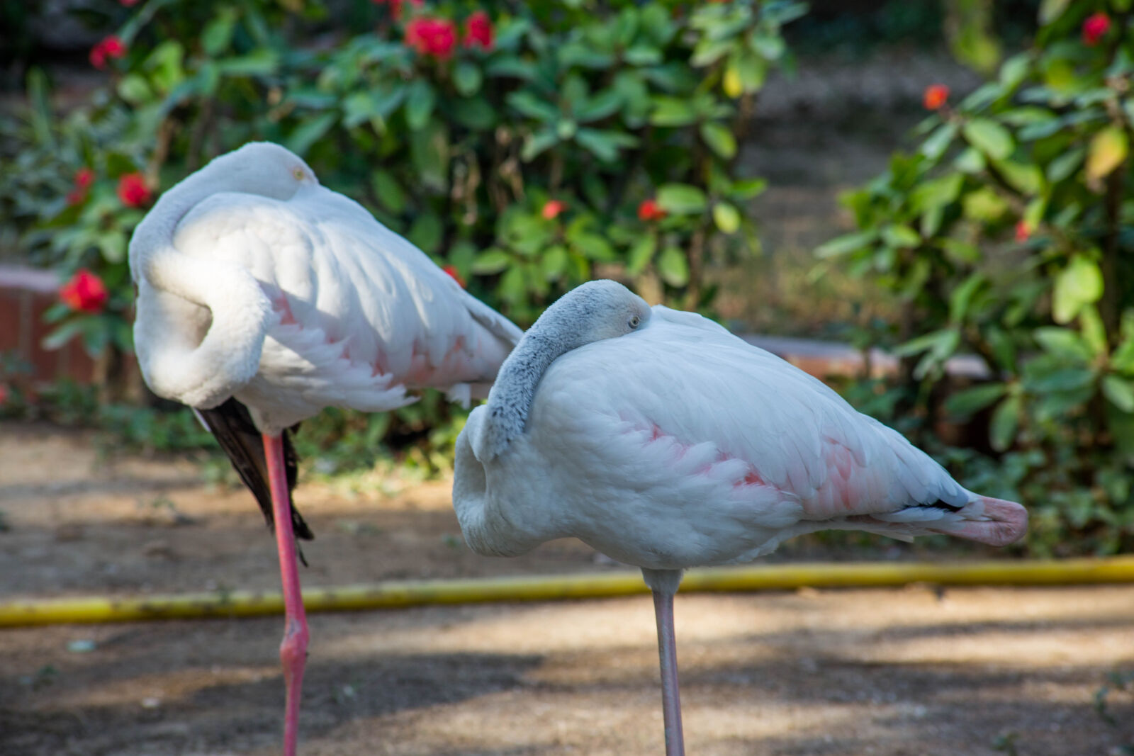 Canon EOS 6D sample photo