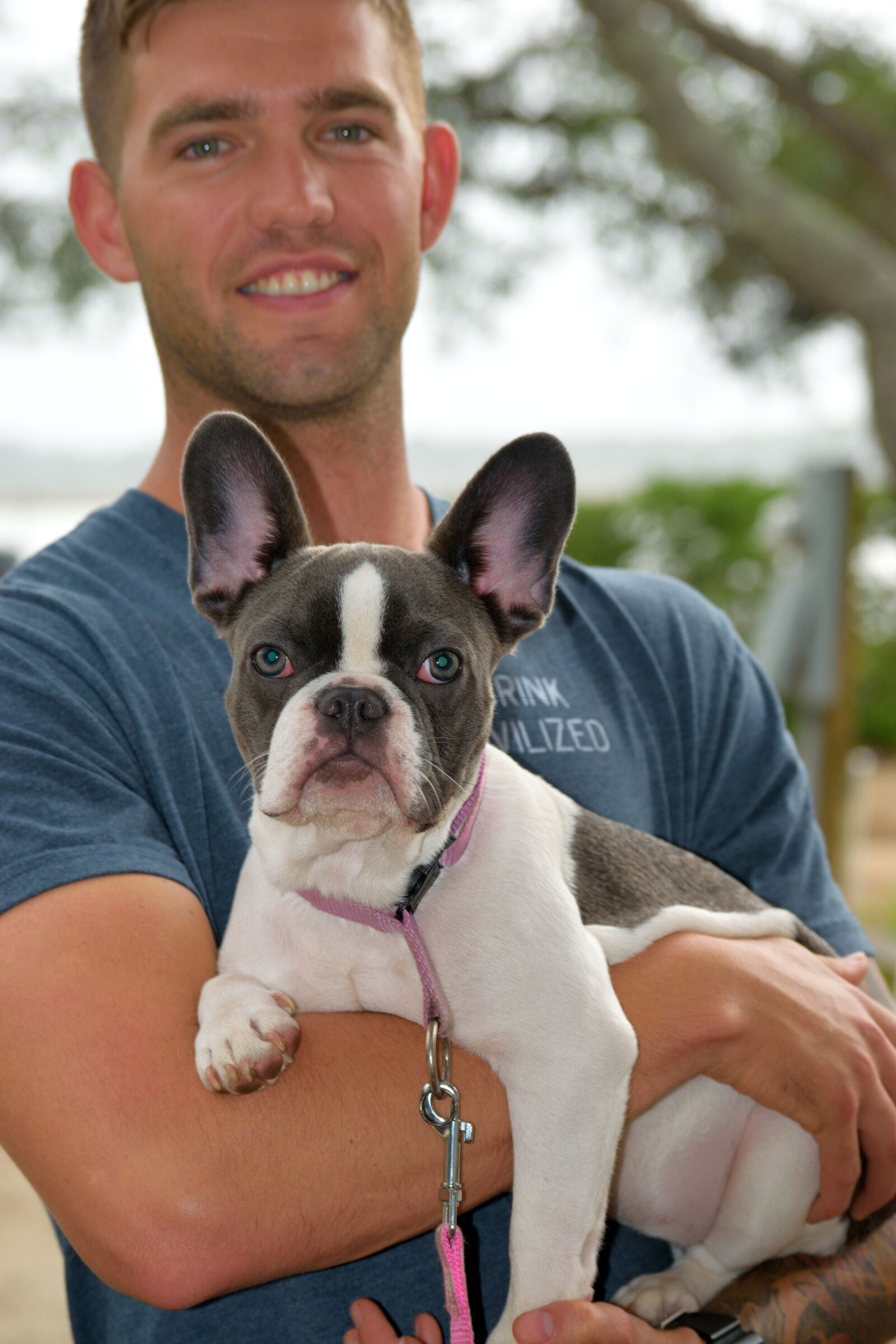 Nikon D3300 sample photo. French bulldog, pet, breed photography