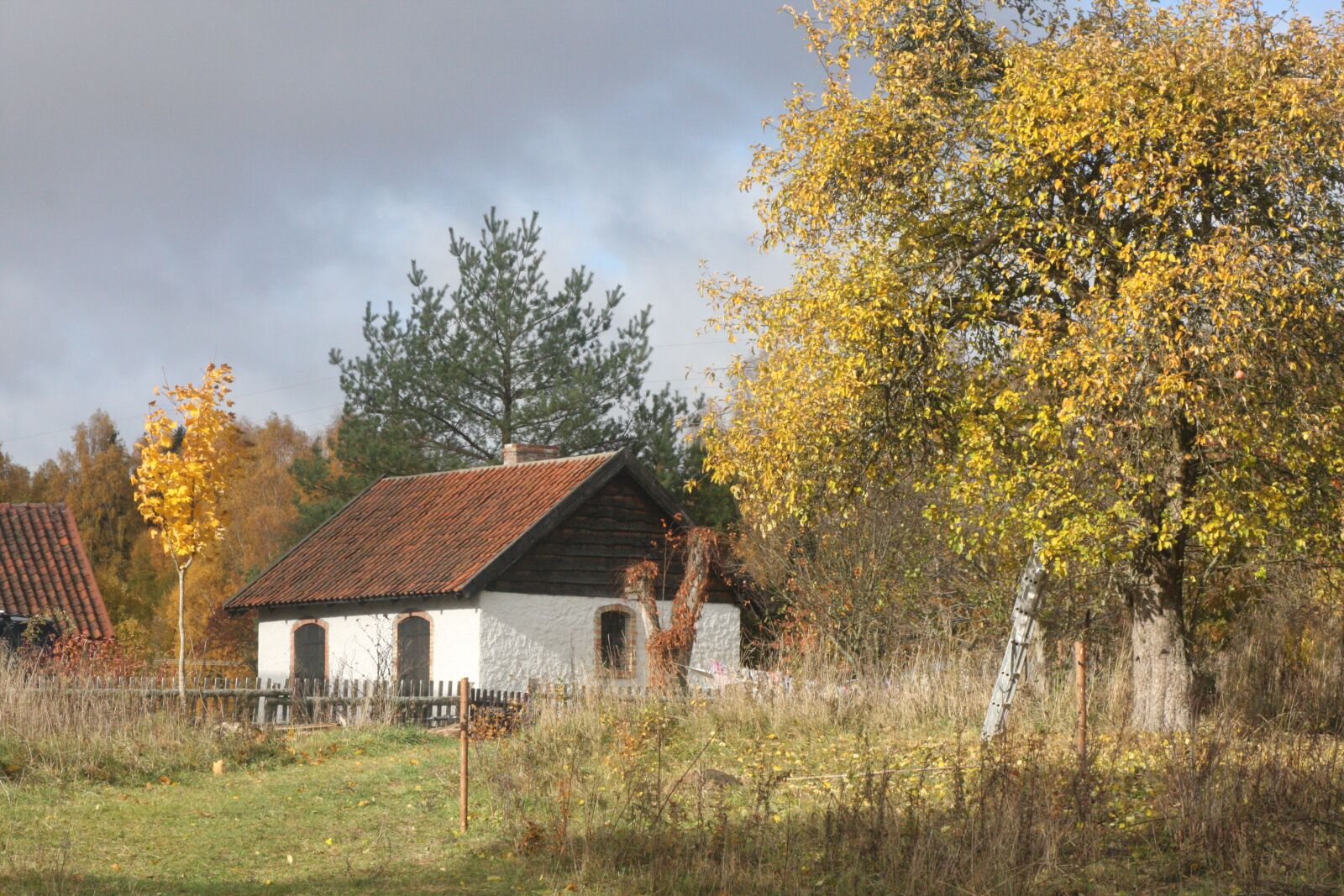 Canon EOS 40D sample photo. Cottage, autumn, grass photography