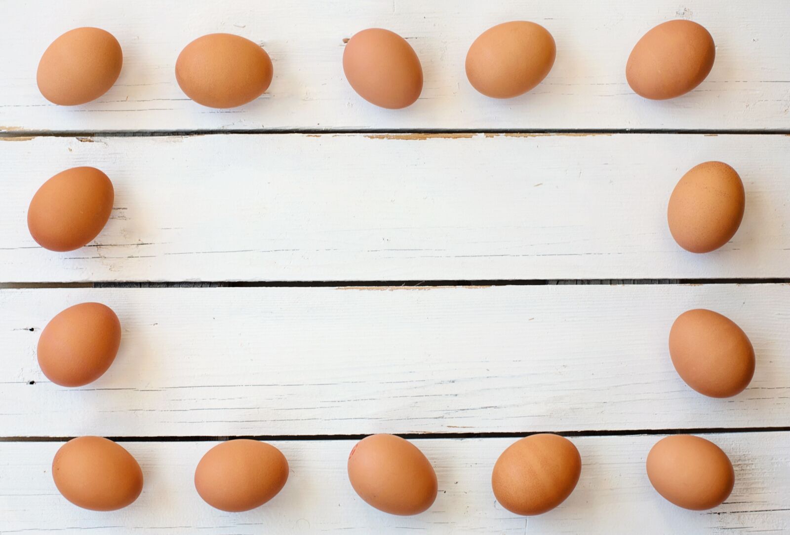 Canon EF 50mm F1.4 USM sample photo. Egg, cholesterol, healthy photography