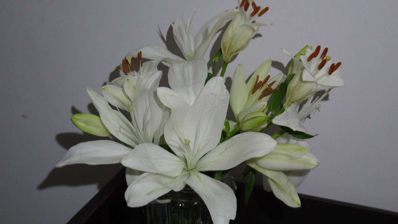 Sony Cyber-shot DSC-WX50 sample photo