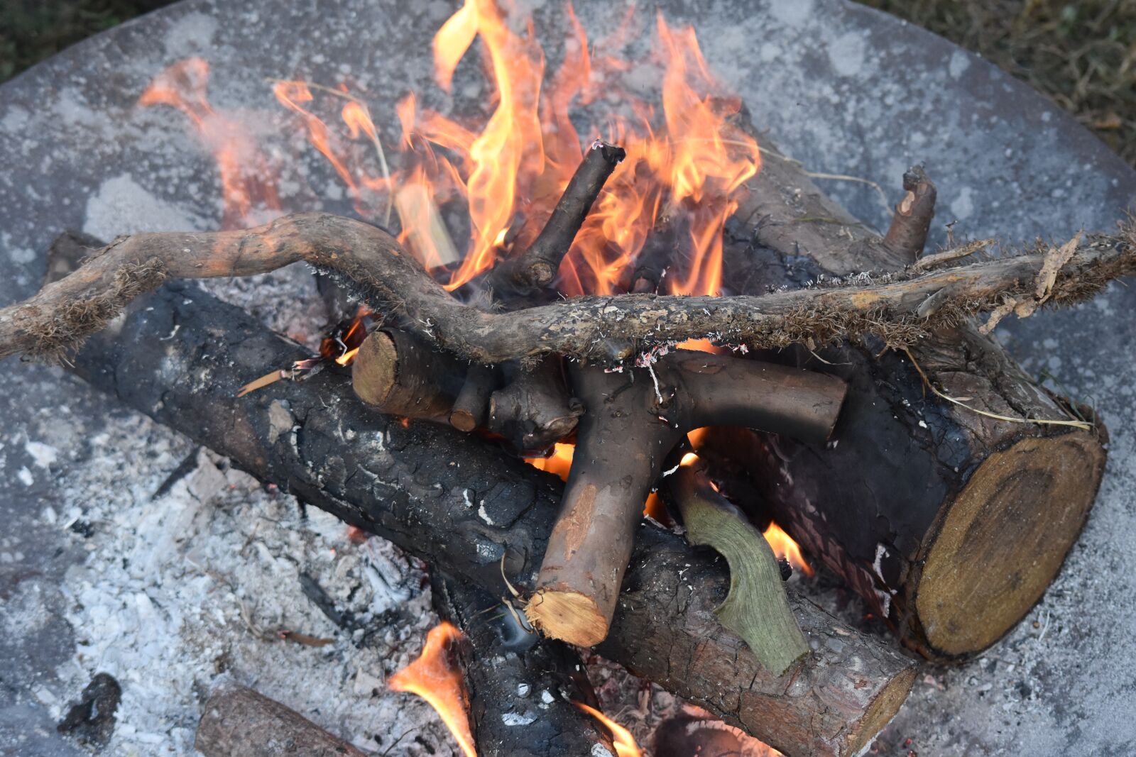 Nikon D7200 sample photo. Fire, branches, wood fire photography