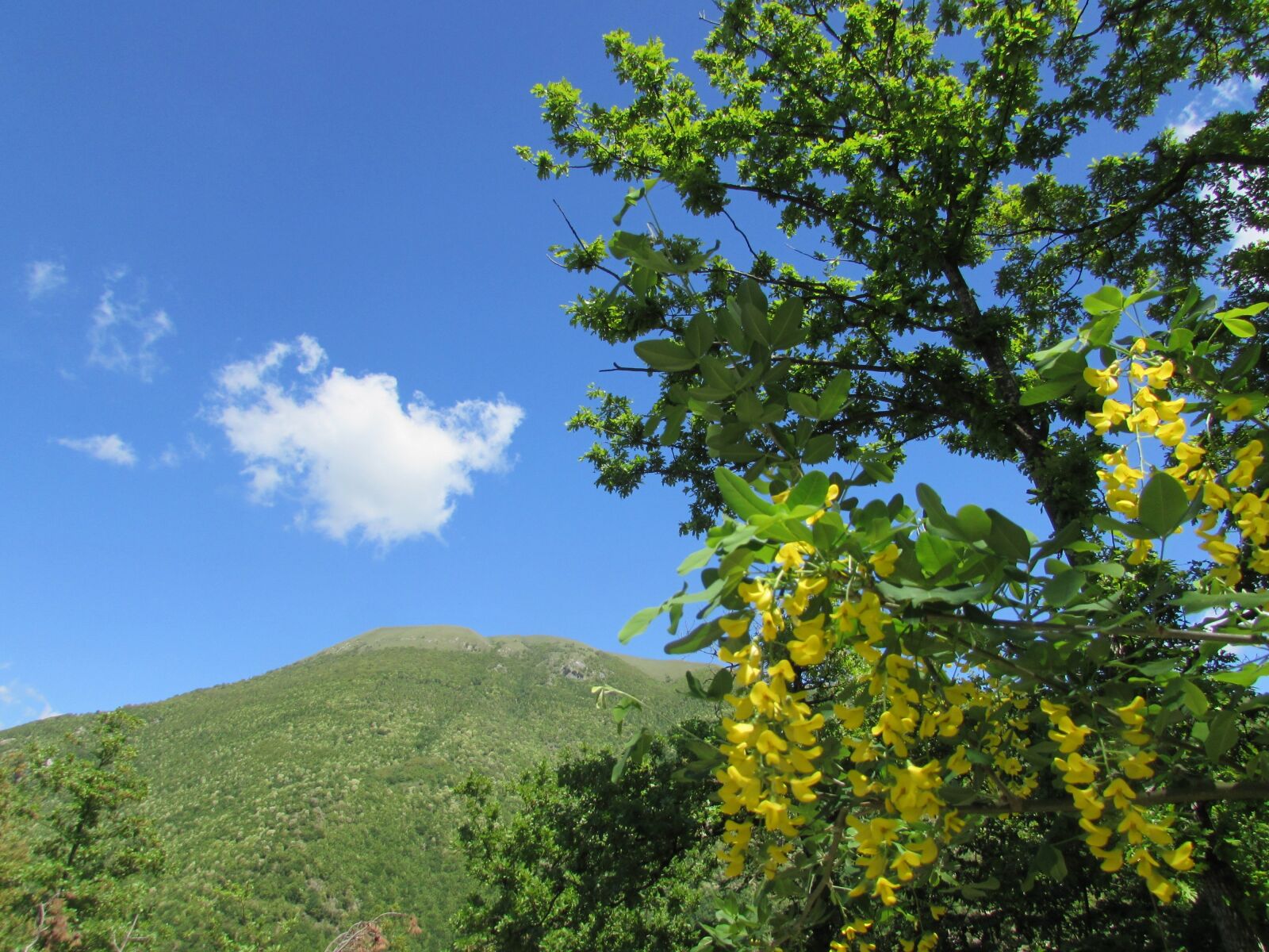 Canon PowerShot SX510 HS sample photo. Prato, nature, spring photography