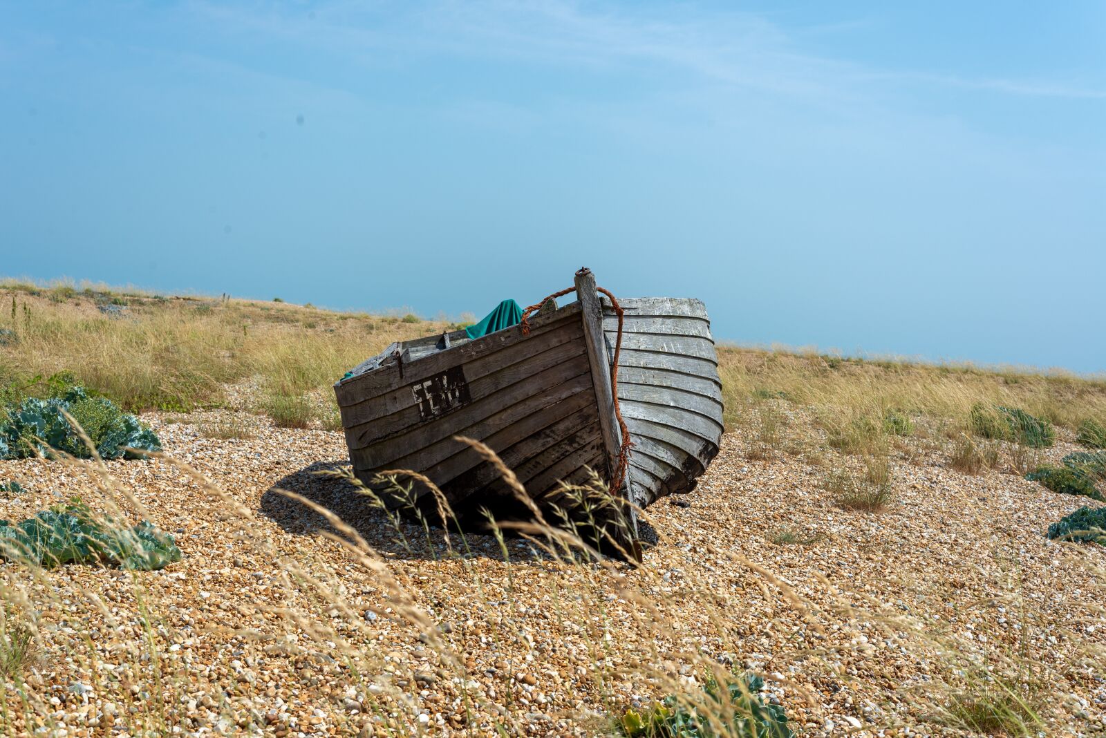 Nikon D600 sample photo. Dungeness, abandoned, wreck photography