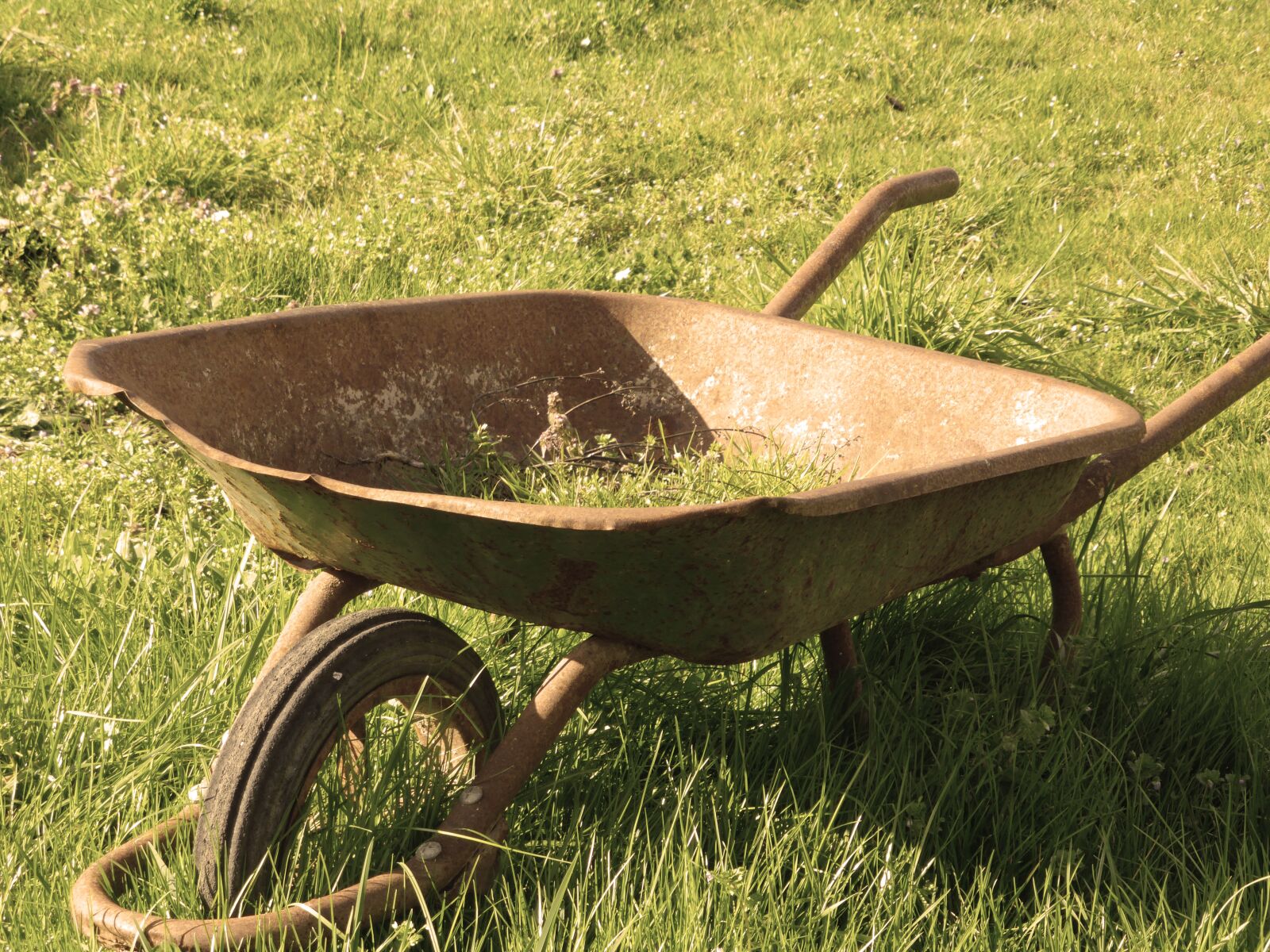 Panasonic Lumix DMC-ZS30 (Lumix DMC-TZ40) sample photo. Wheelbarrow, grass, abandonment photography