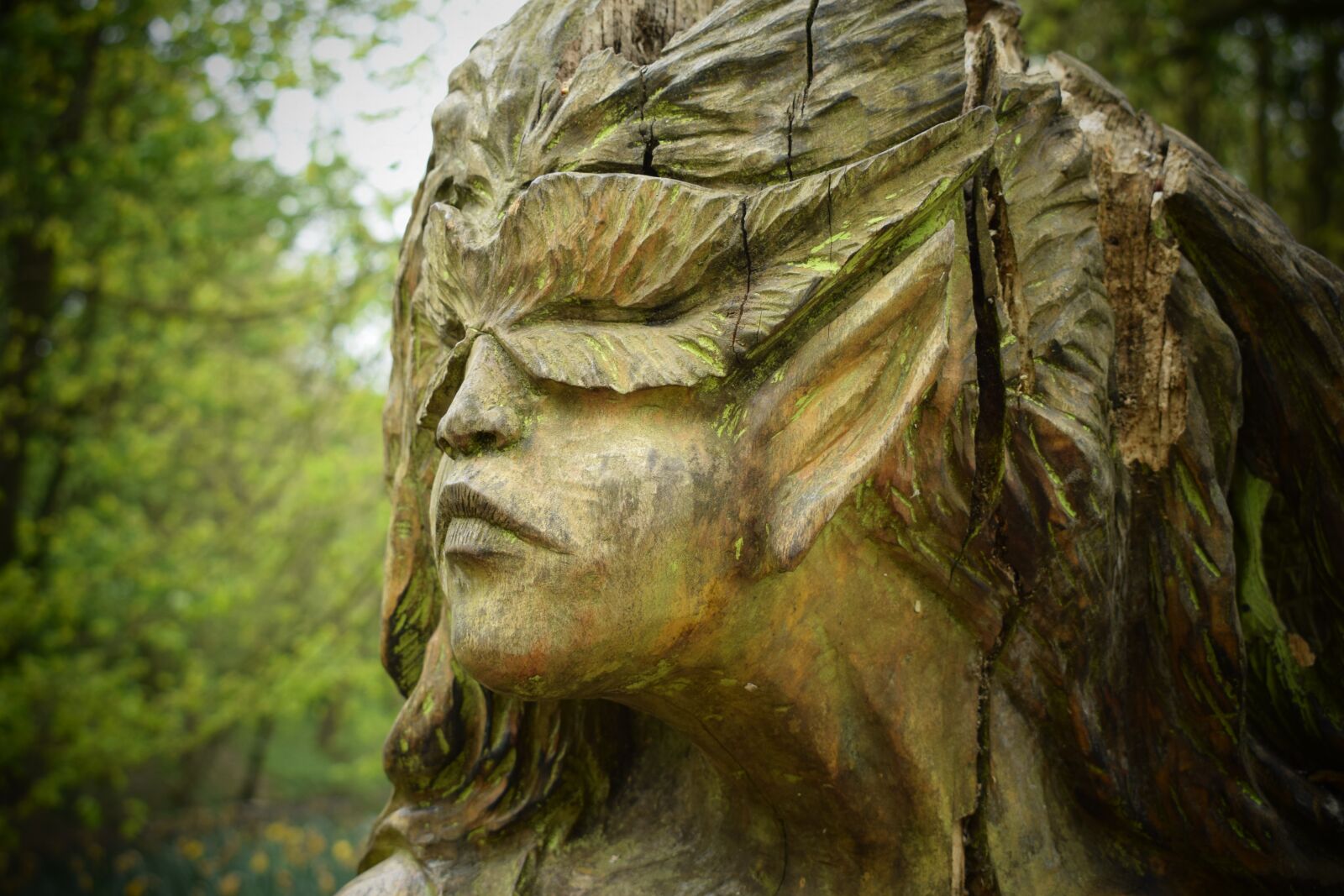 Nikon D3300 sample photo. Wood, carving, craft photography