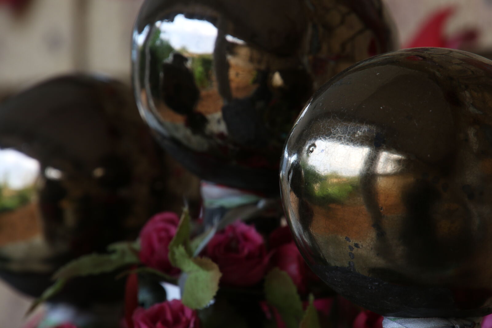 Canon EOS 7D Mark II sample photo. Circle, flowers, garden, mirror photography