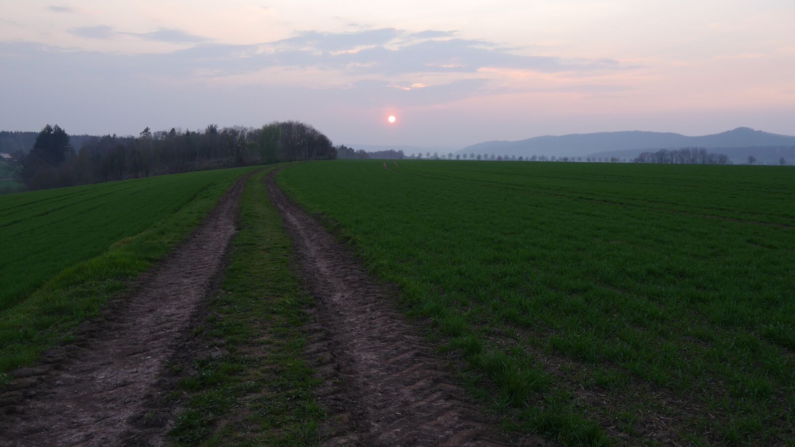 Panasonic Lumix DMC-G6 sample photo. Away, grass, sunset photography