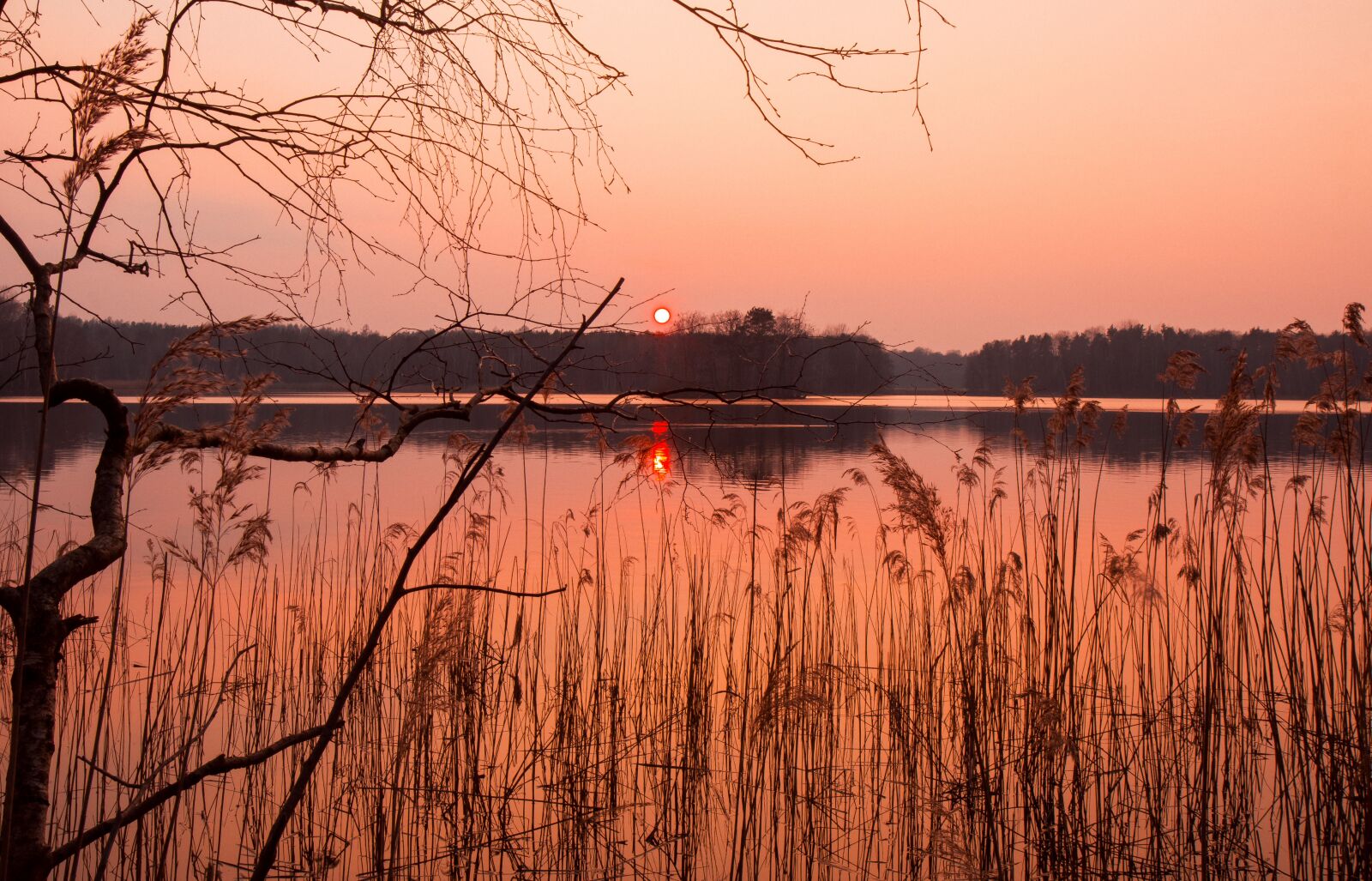Canon EOS 80D sample photo. Waters, nature, dawn photography