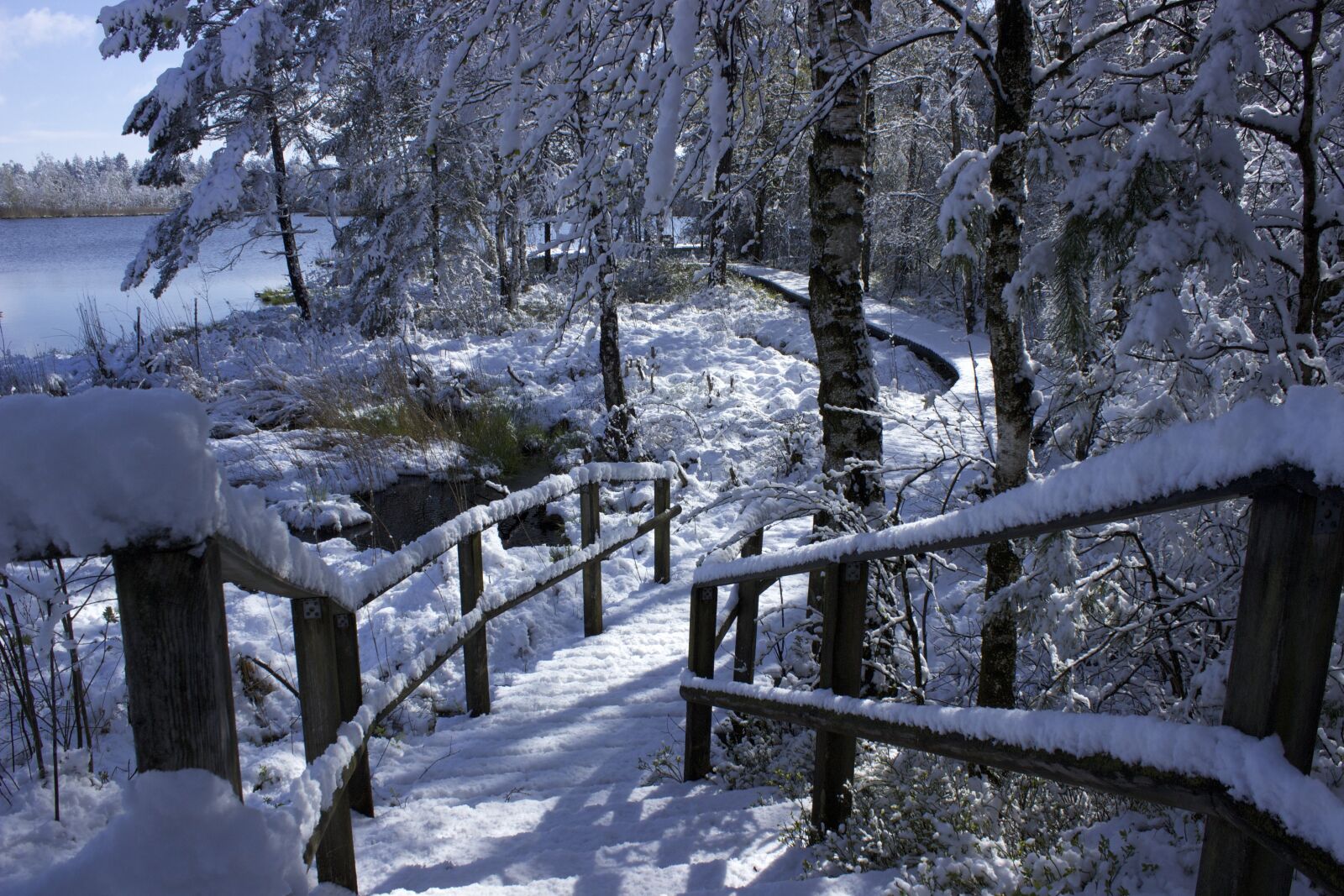 Canon EOS 600D (Rebel EOS T3i / EOS Kiss X5) sample photo. Bad wurzach, nature reserve photography