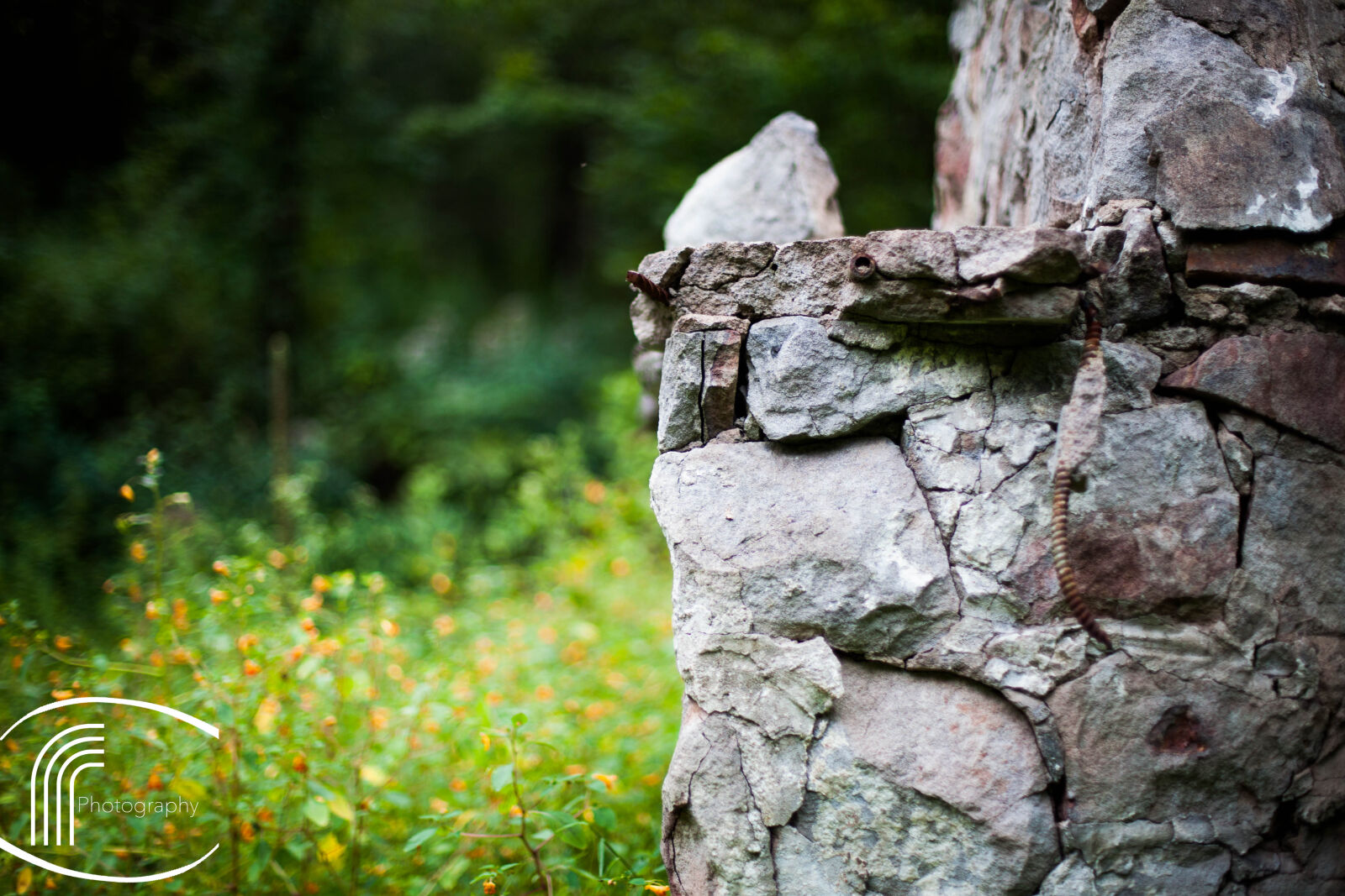 Canon EOS 5D Mark II sample photo. Nicolas, desarno photography