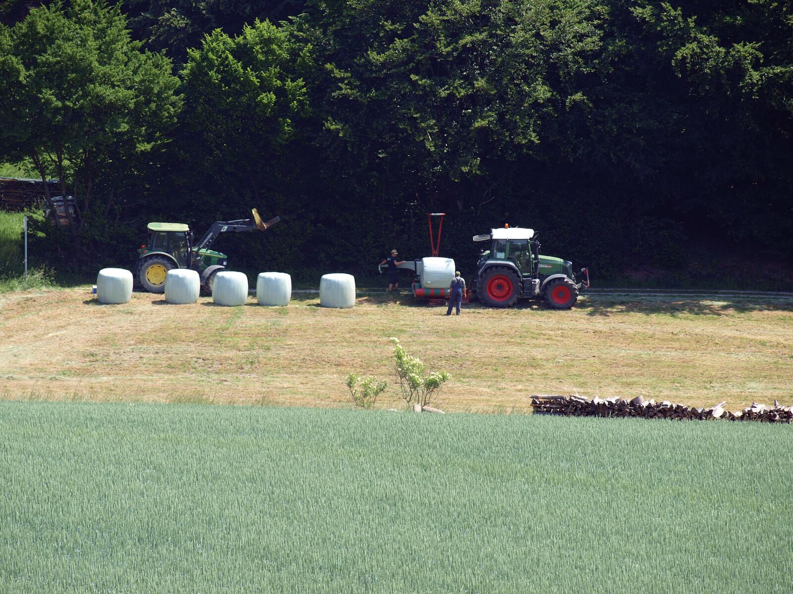 Olympus E-420 (EVOLT E-420) sample photo. Agriculture, hay bales, silage photography