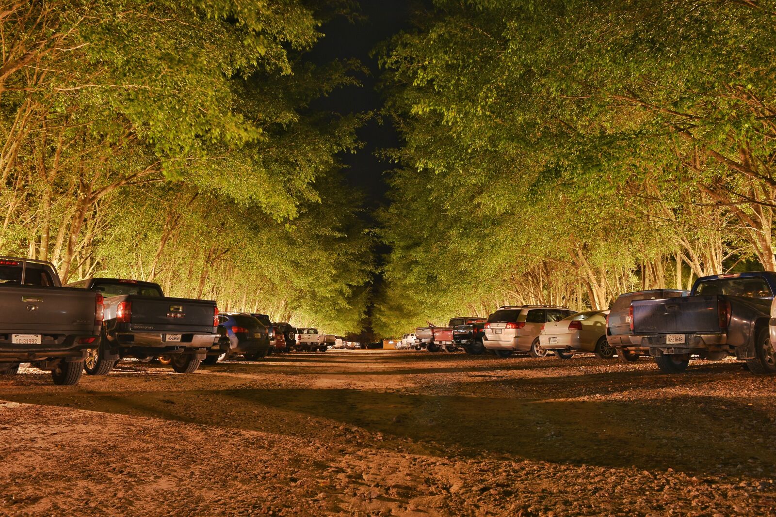 Nikon D7200 sample photo. Cars, parking lot, park photography