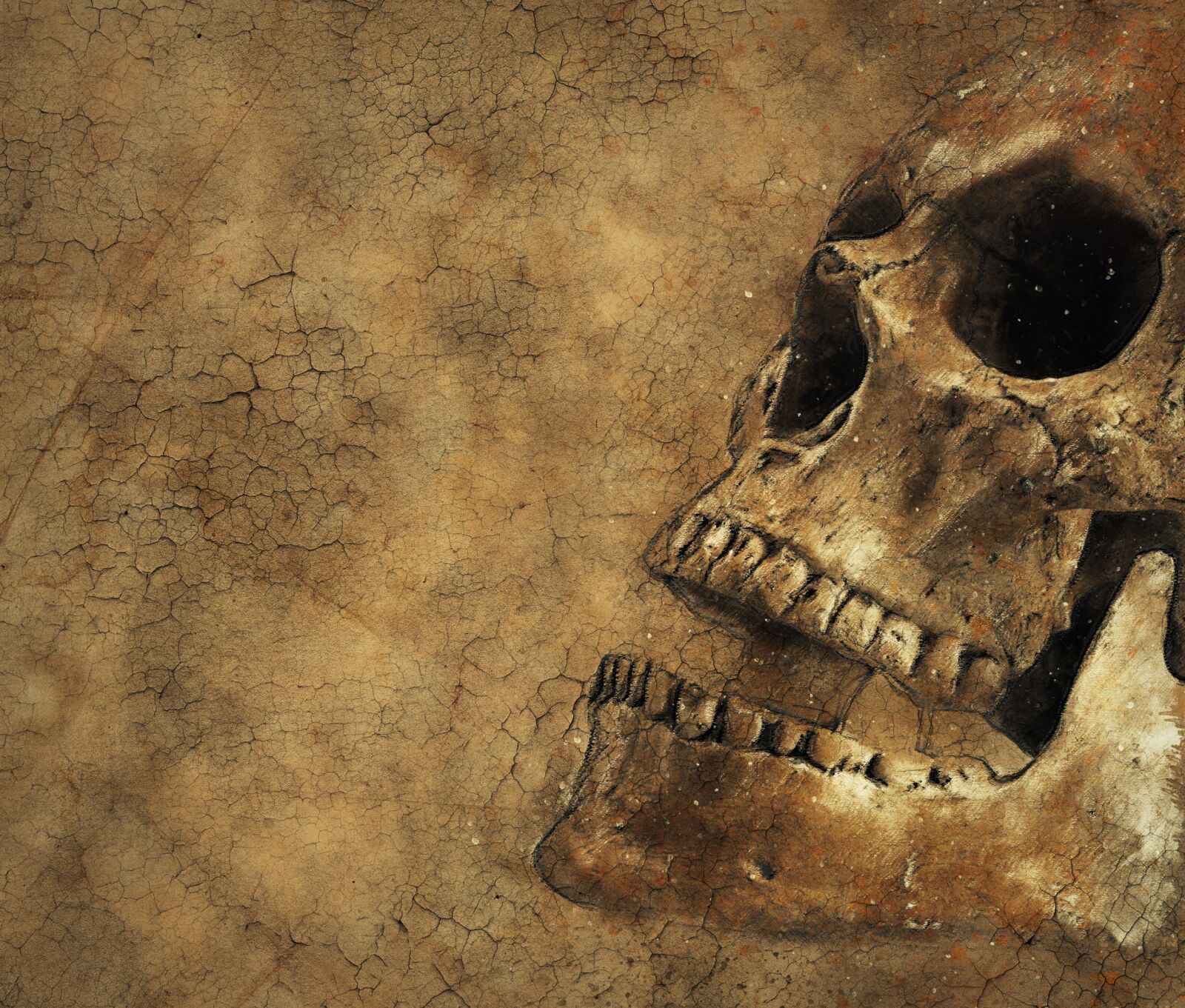 Canon EOS 1000D (EOS Digital Rebel XS / EOS Kiss F) sample photo. Skull, background, texture photography