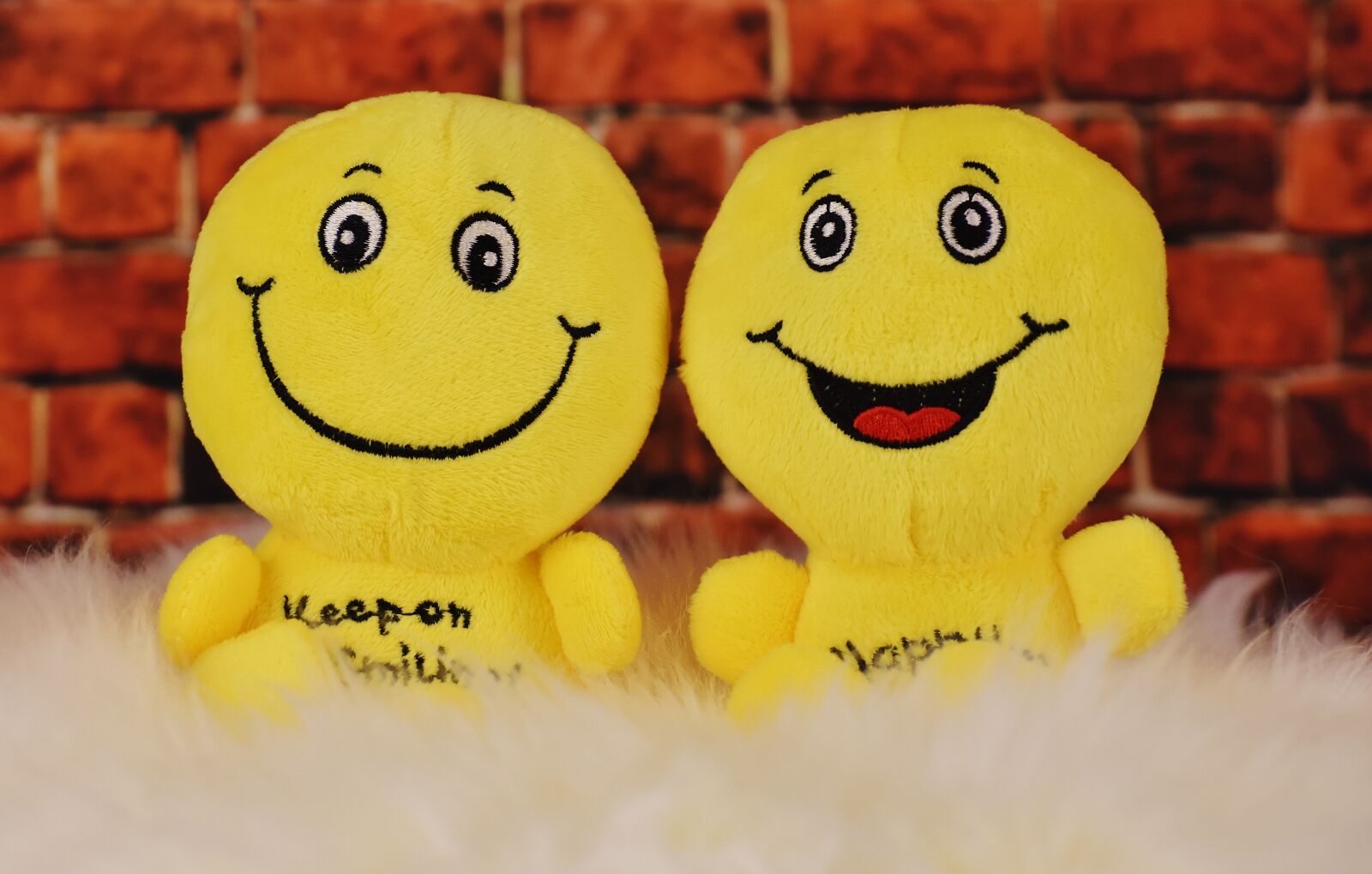 Nikon D7200 sample photo. Happy, smilies, plush toys photography
