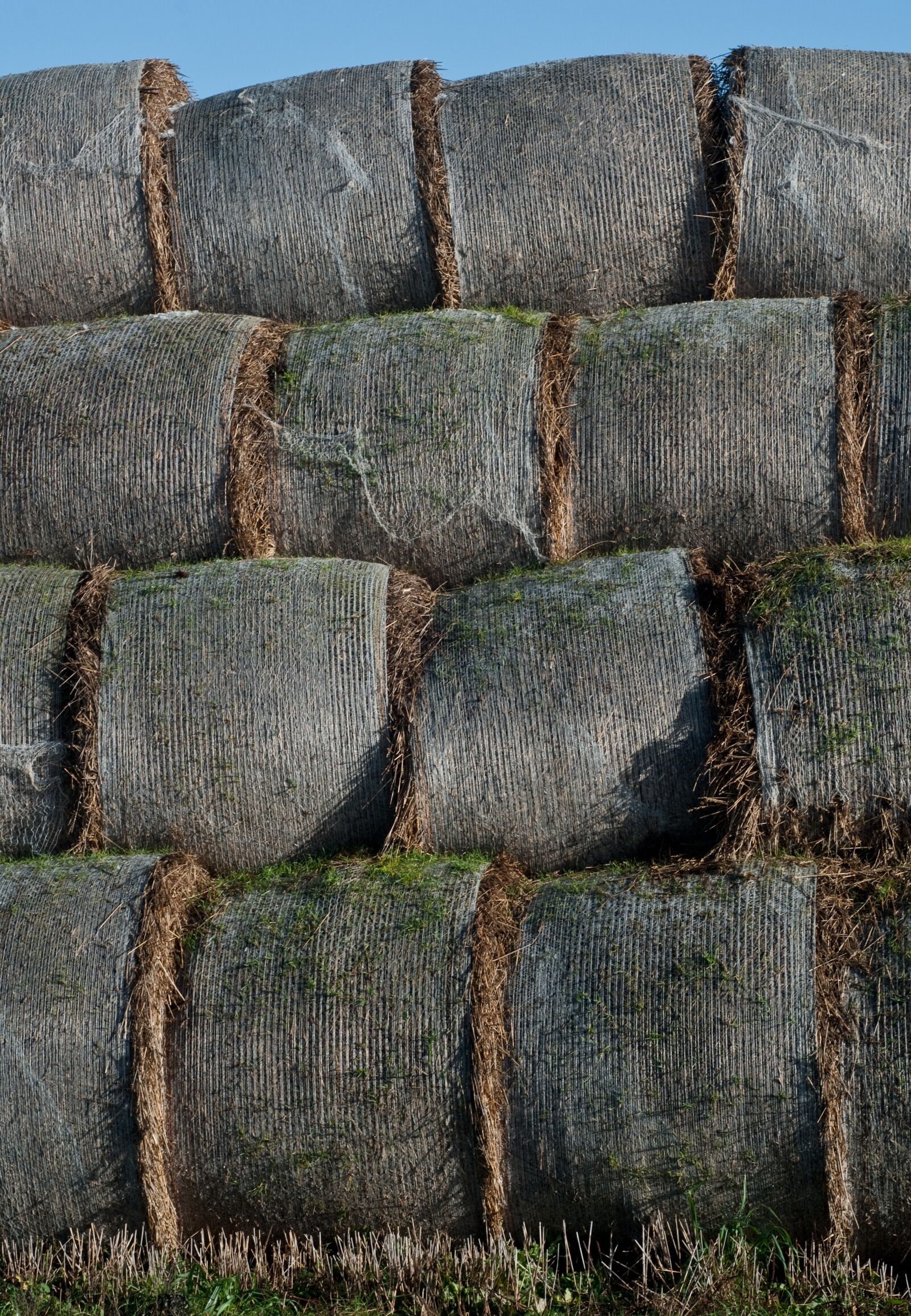Nikon D300 sample photo. Haystack, straw, agriculture photography