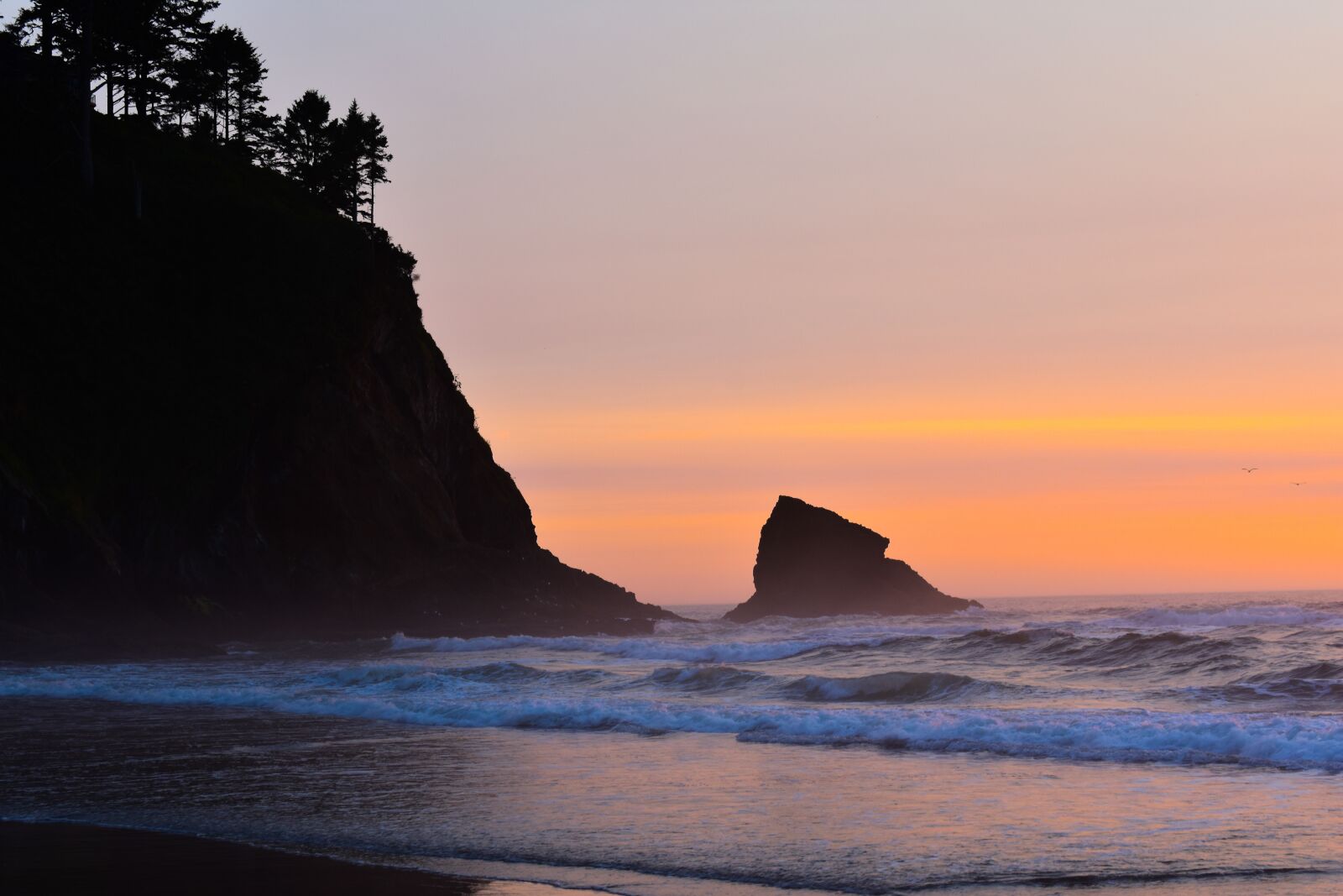 Nikon D3400 sample photo. Pacific northwest, northwest, west photography