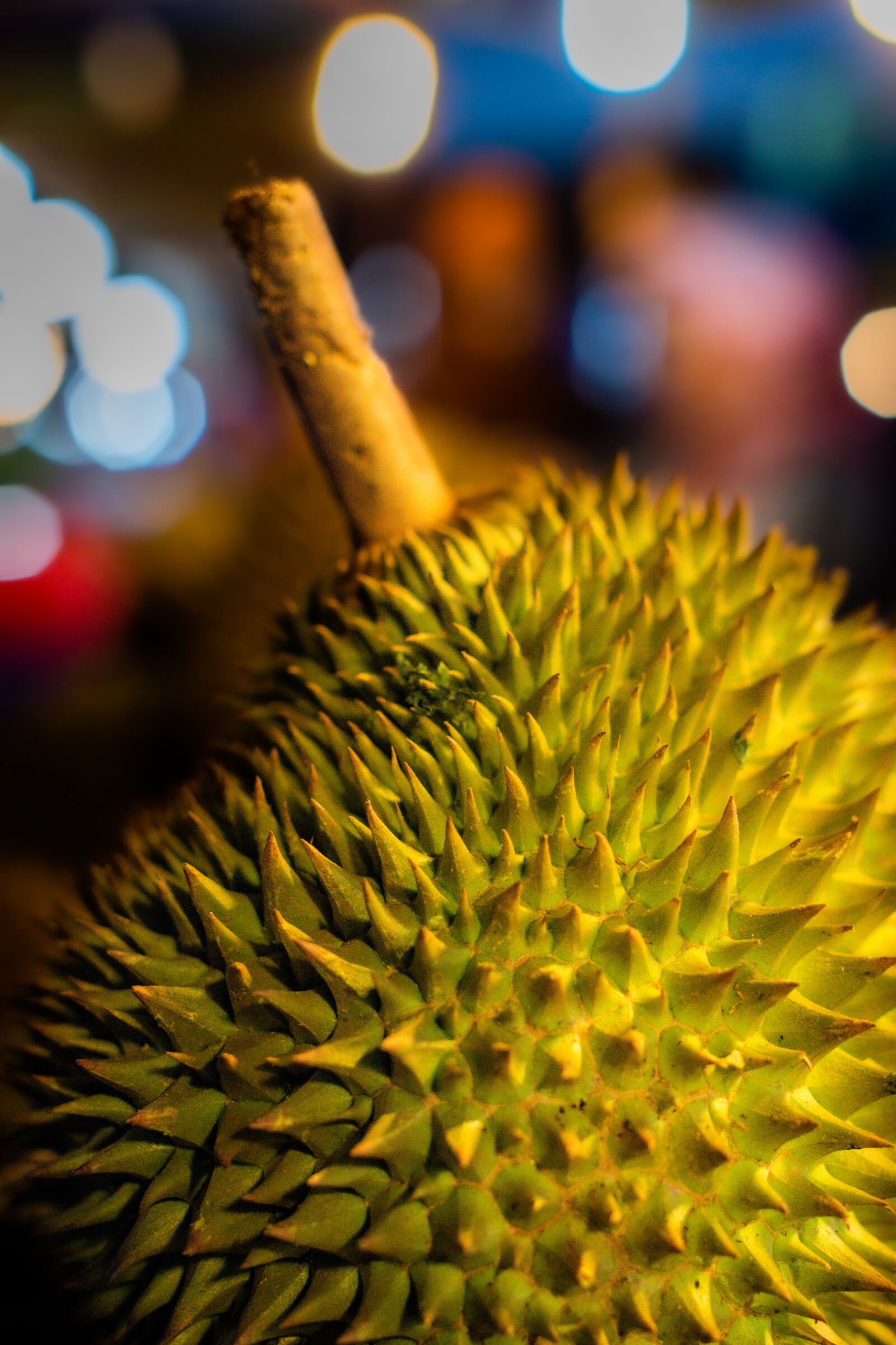 Nikon D500 sample photo. Durian, green, ripe photography