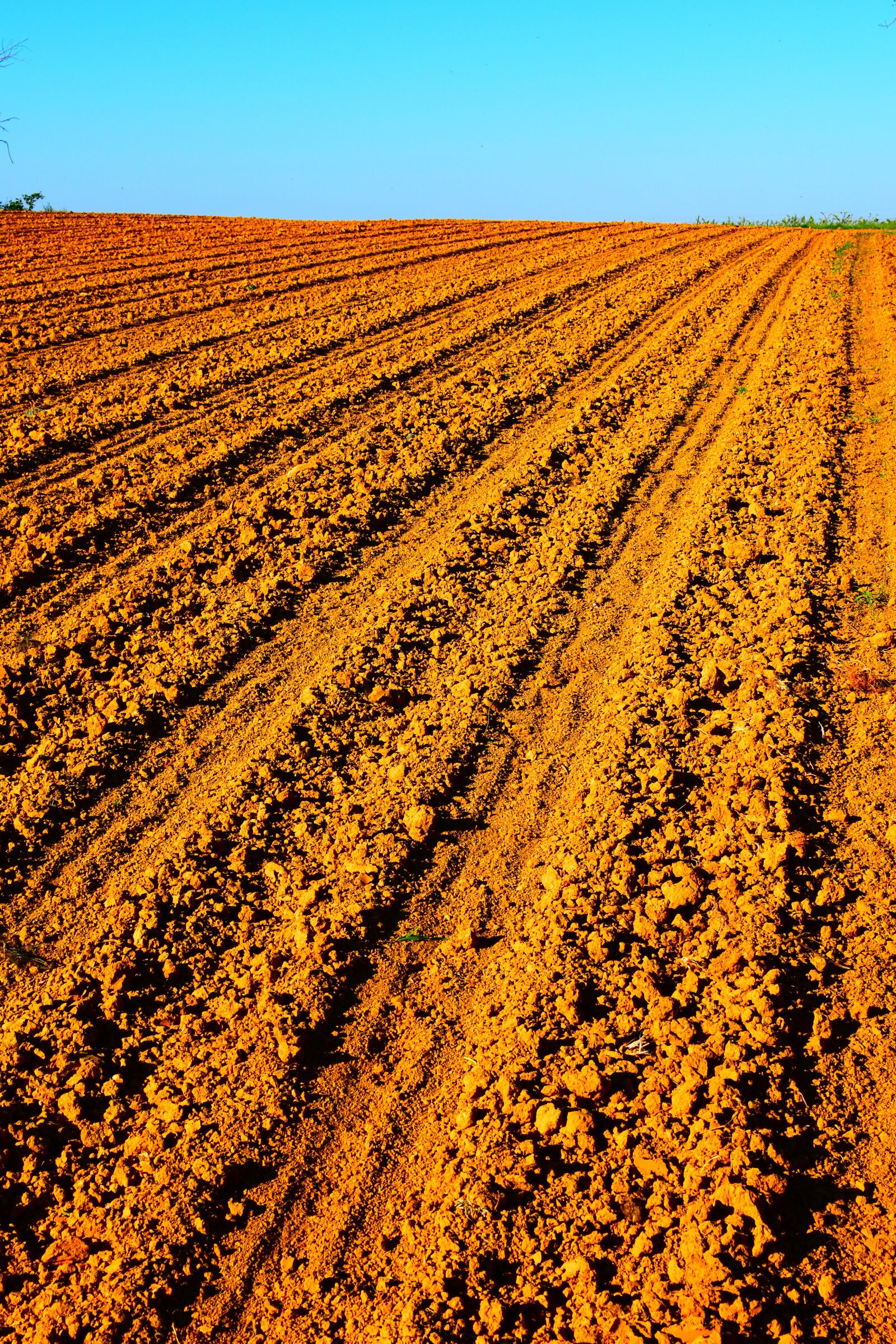 Nikon D5600 sample photo. Fields, earth, agriculture photography