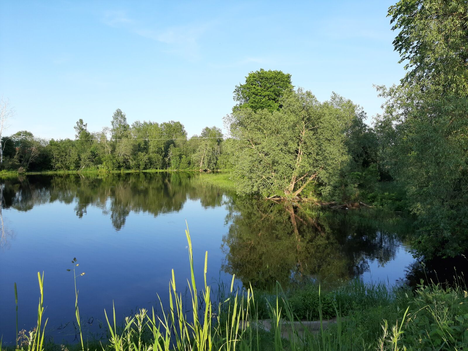 Samsung Galaxy A50 sample photo. Water, pond, lake photography