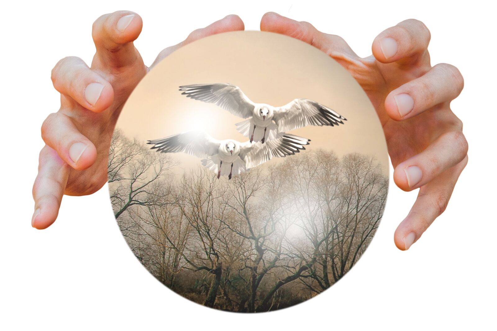 Canon EOS 600D (Rebel EOS T3i / EOS Kiss X5) sample photo. Ball, hands, birds photography