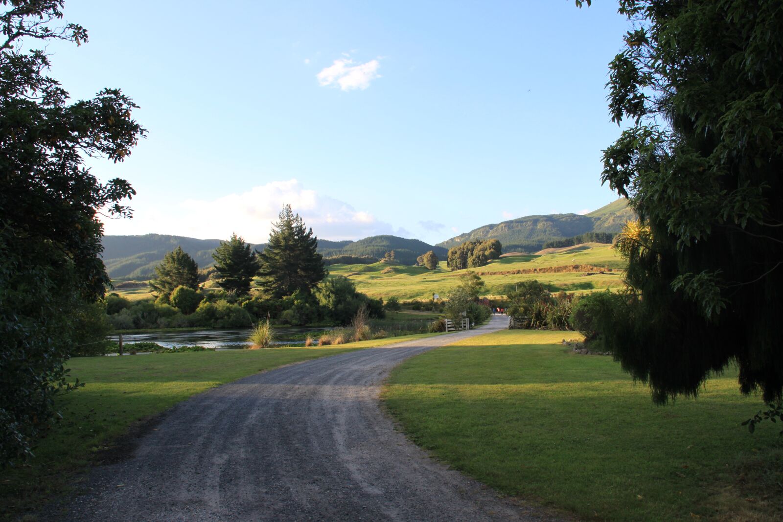 Canon EOS 500D (EOS Rebel T1i / EOS Kiss X3) sample photo. Road, nature, new zealand photography