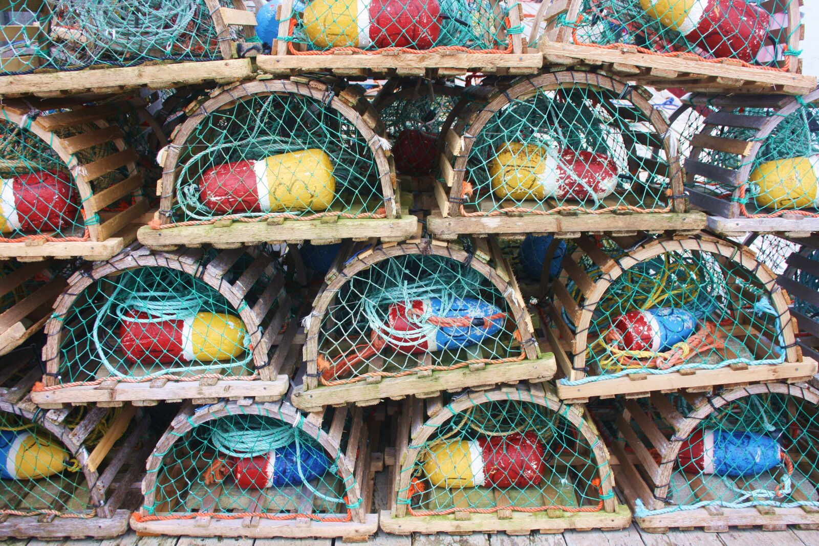 Canon EOS 1000D (EOS Digital Rebel XS / EOS Kiss F) sample photo. Lobster cage, lobster, cage photography