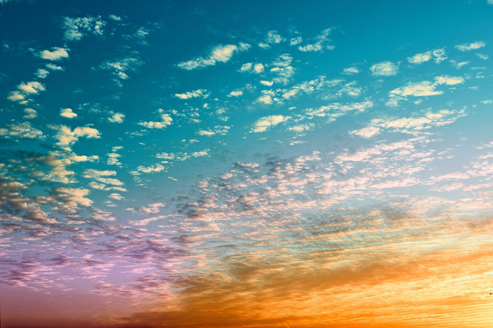 Canon EOS 600D (Rebel EOS T3i / EOS Kiss X5) sample photo. Sky, color, cloud photography