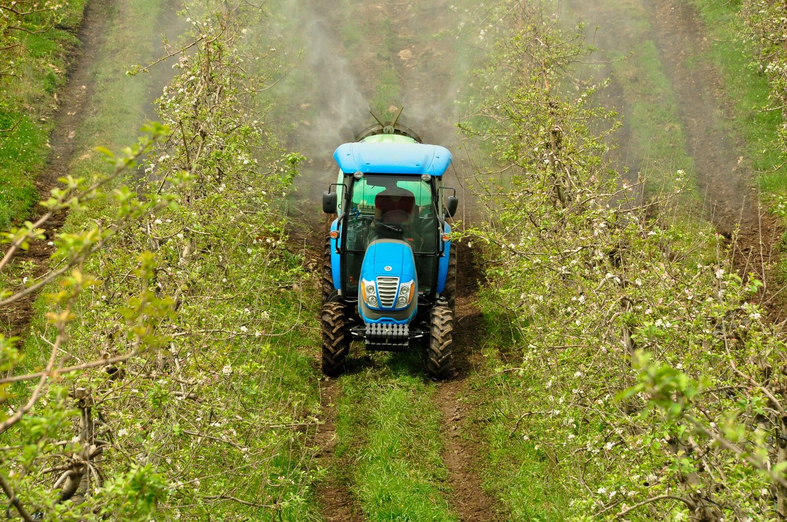 Nikon D5000 sample photo. Tractor, agriculture, tractors photography