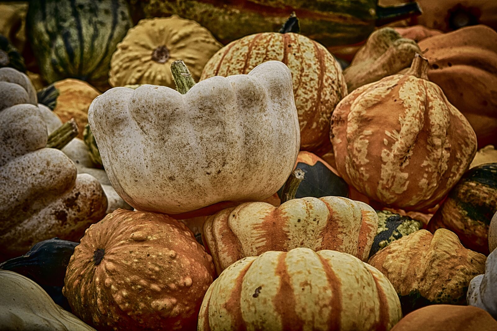 Nikon D7200 sample photo. Pumpkins, colorful, autumn photography