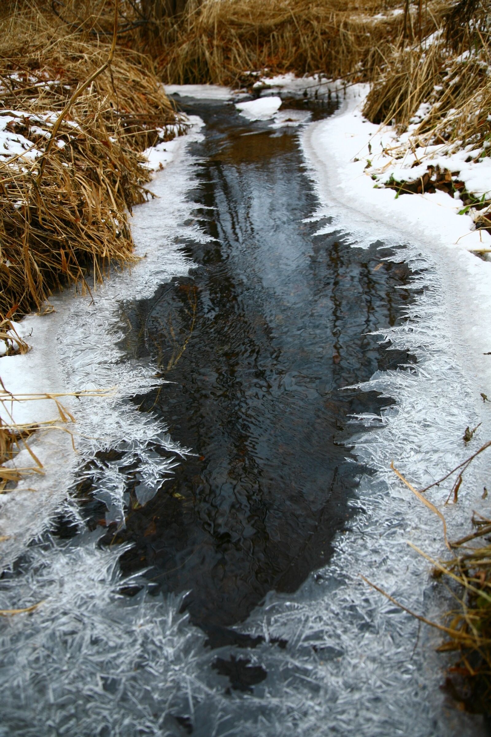 Canon EOS 5D sample photo. River, back on track photography