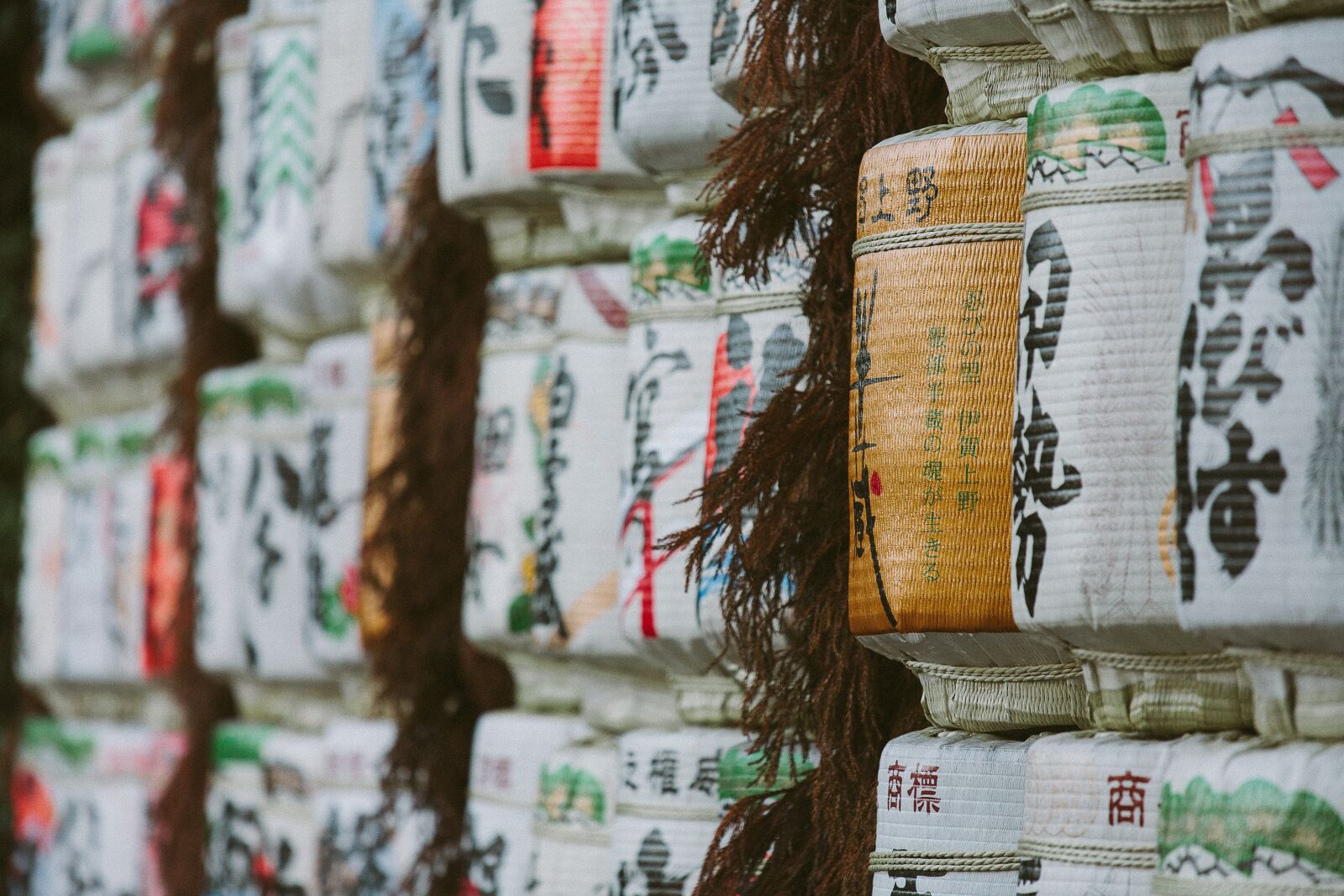 Canon EOS 5D sample photo. Abundance, asian, blur photography