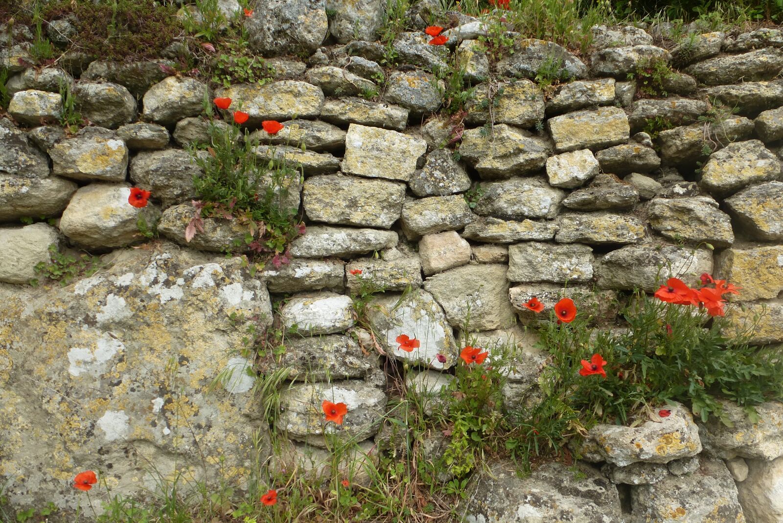 Panasonic Lumix DMC-ZS15 (Lumix DMC-TZ25) sample photo. Wall, stones, brick wall photography