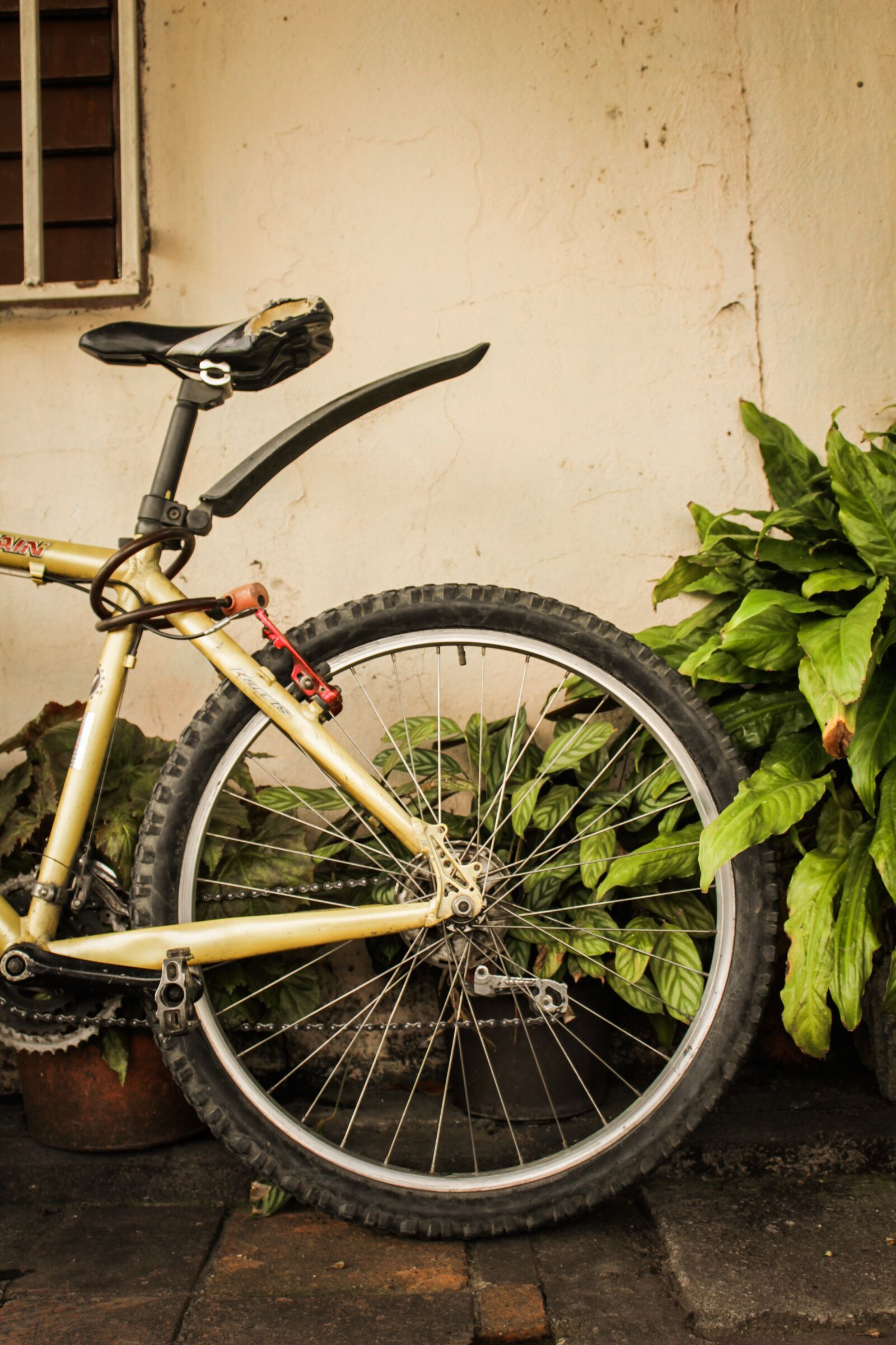 Canon EOS 550D (EOS Rebel T2i / EOS Kiss X4) sample photo. Bicycle, composition, wheel photography