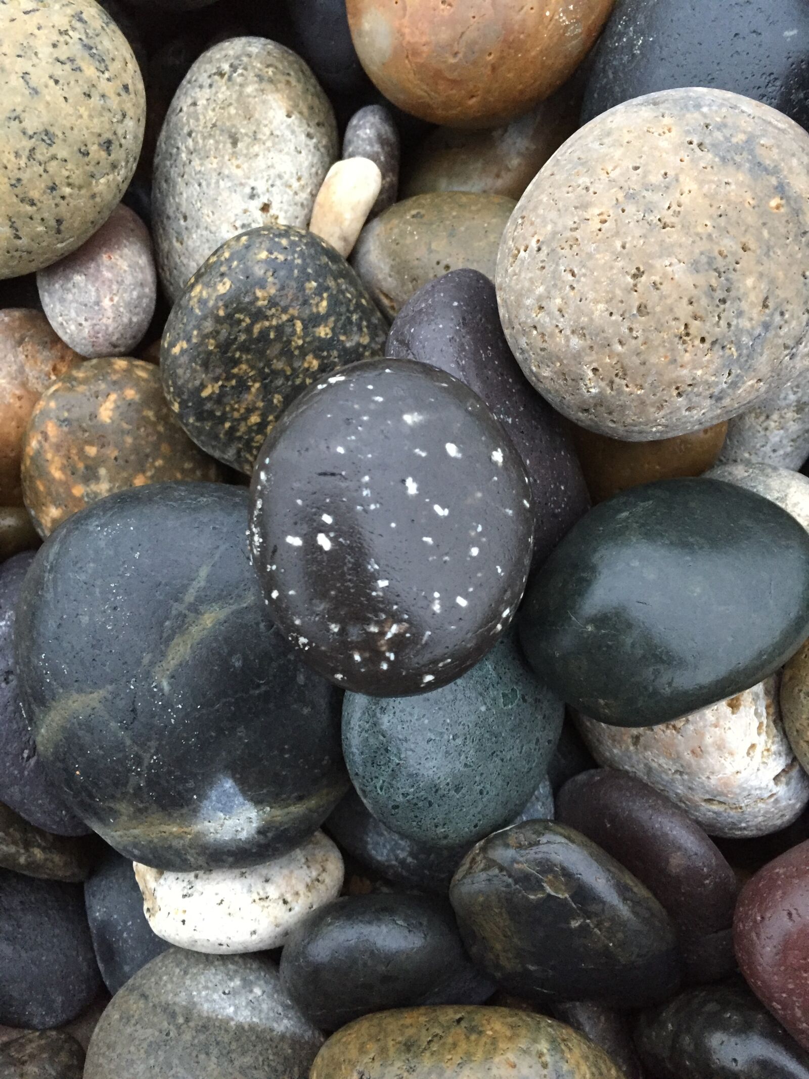 Apple iPhone 6 sample photo. Beach, beige, black, black photography