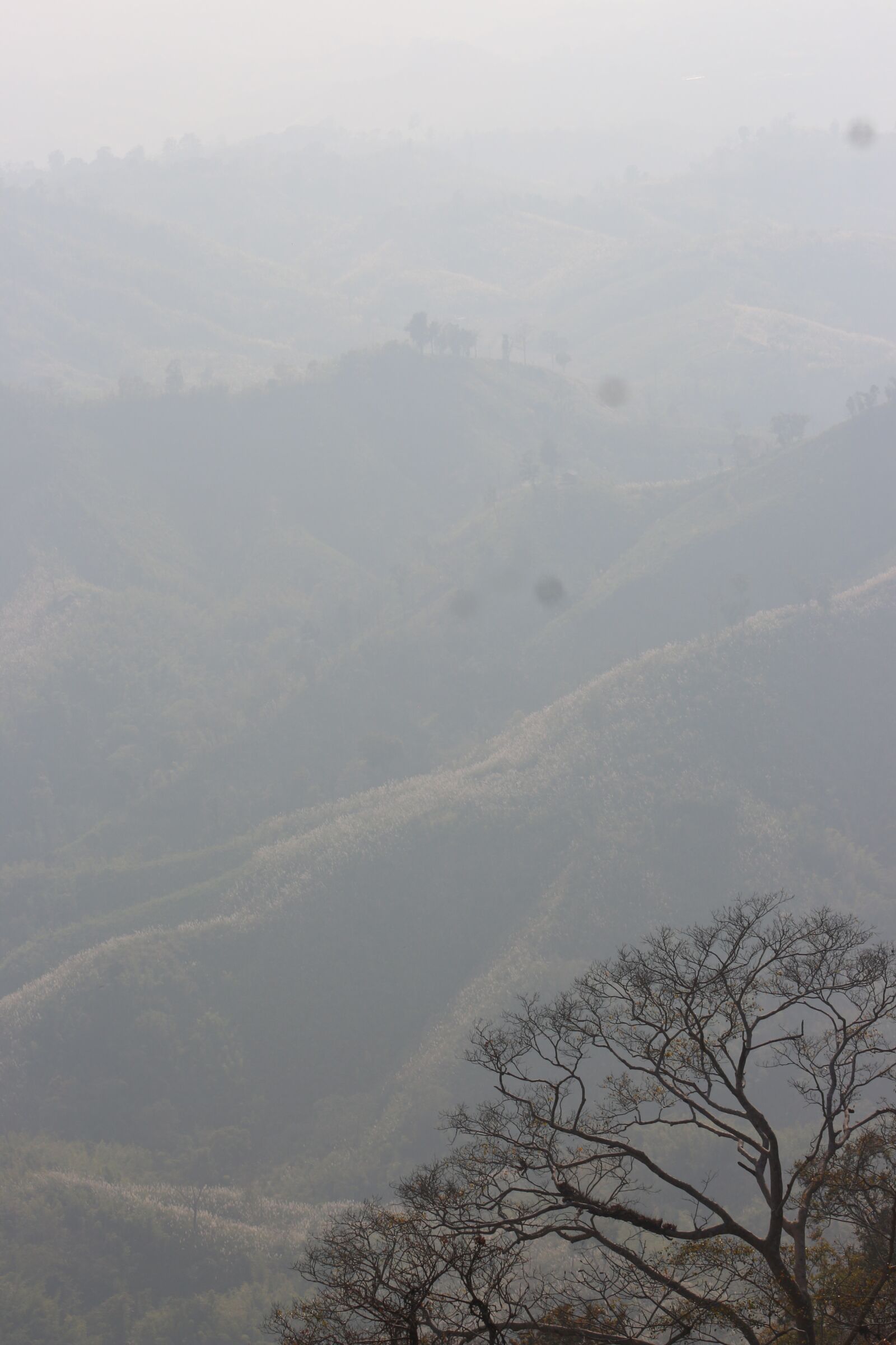 Canon EOS 700D (EOS Rebel T5i / EOS Kiss X7i) sample photo. Mountain, green, nature photography