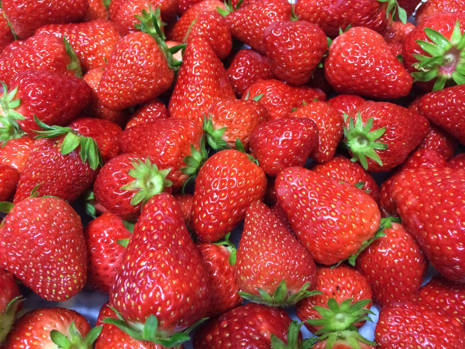 Apple iPhone 5s sample photo. Strawberry, fruit, vitamin c photography