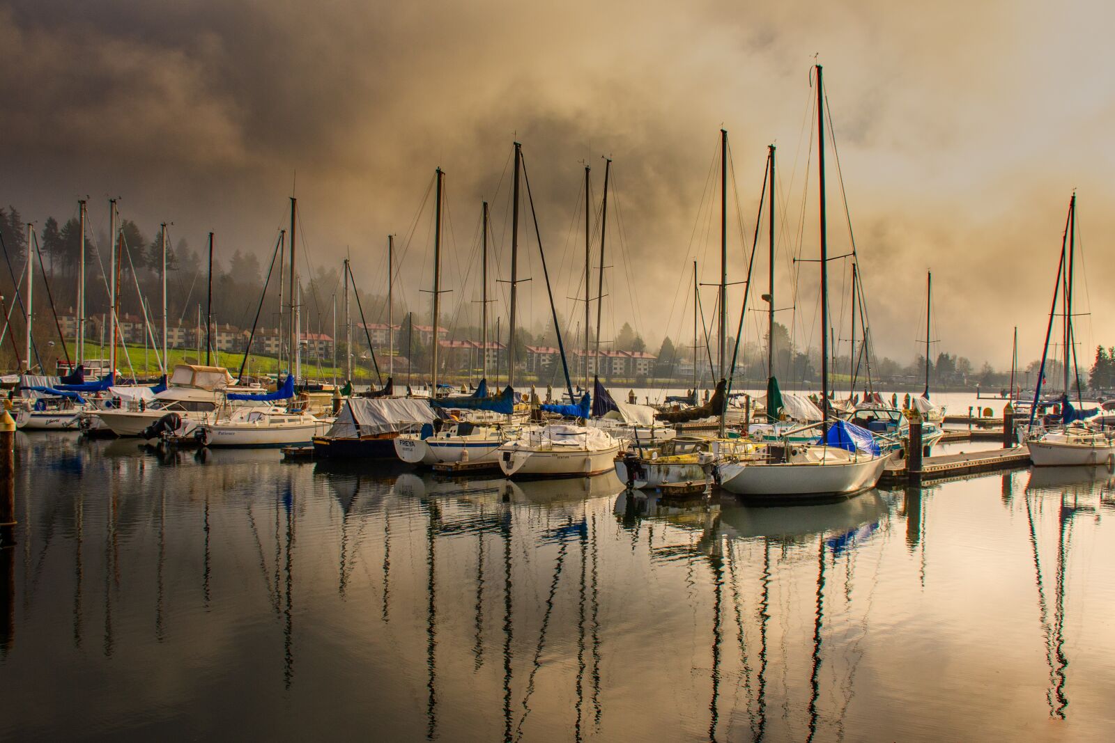 Nikon D7200 sample photo. Olympia washington, marina, sailboats photography