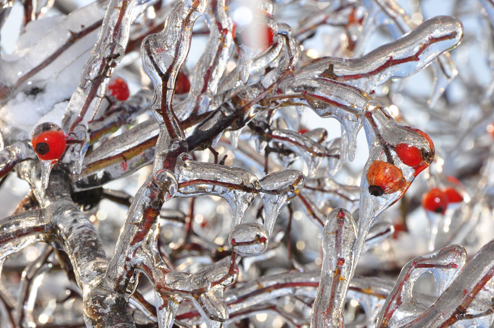 Nikon D90 sample photo. Winter, ice, będzin photography
