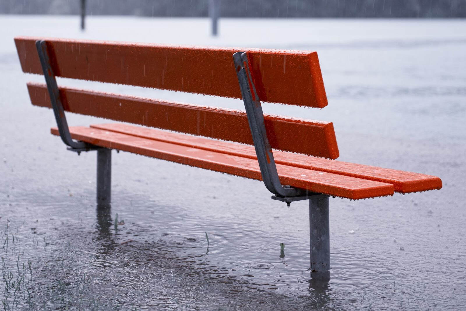 Nikon D750 sample photo. Rain, lake, high water photography