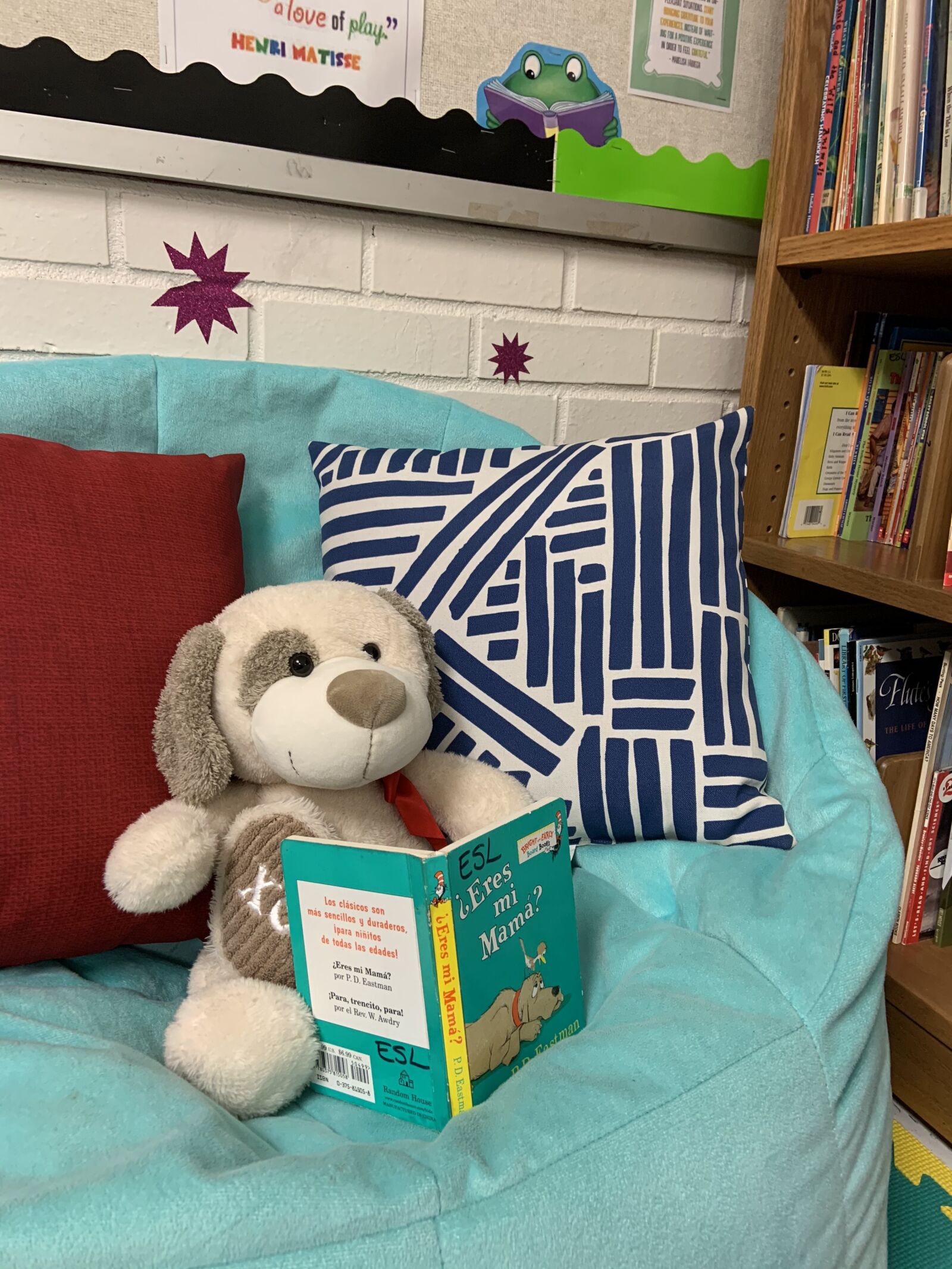 Apple iPhone XR sample photo. Reading corner, classroom library photography