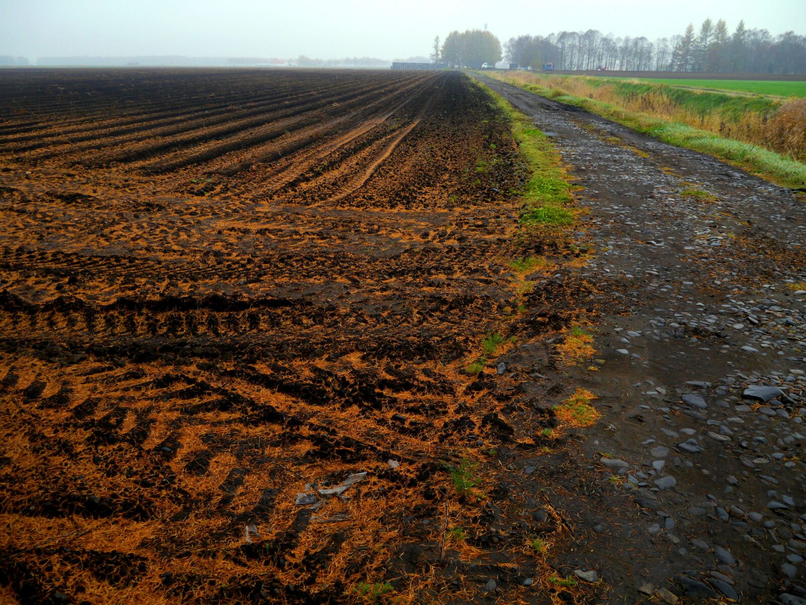 Panasonic Lumix DMC-GX1 sample photo. Farmland, plow, tractor photography