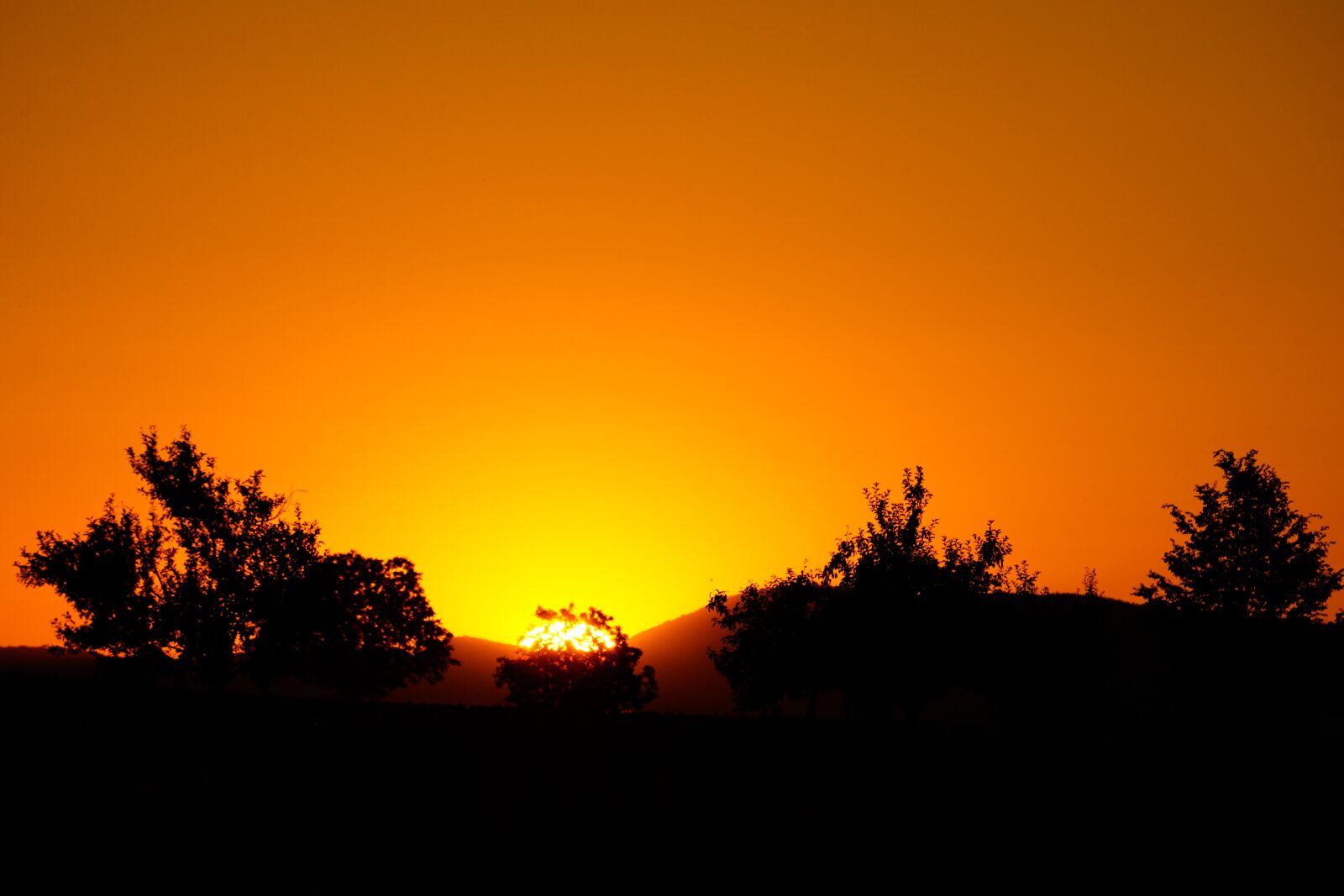 Sony a5100 + Sony E 55-210mm F4.5-6.3 OSS sample photo. Evening sky, orange, sun photography