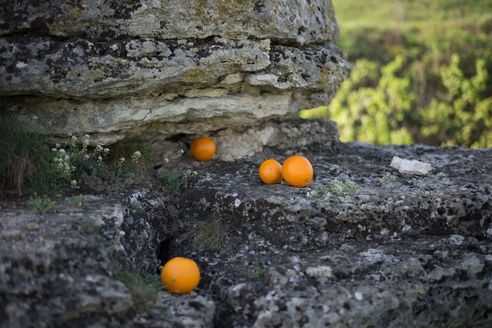 Nikon D610 sample photo. Oranges, rock, orange photography