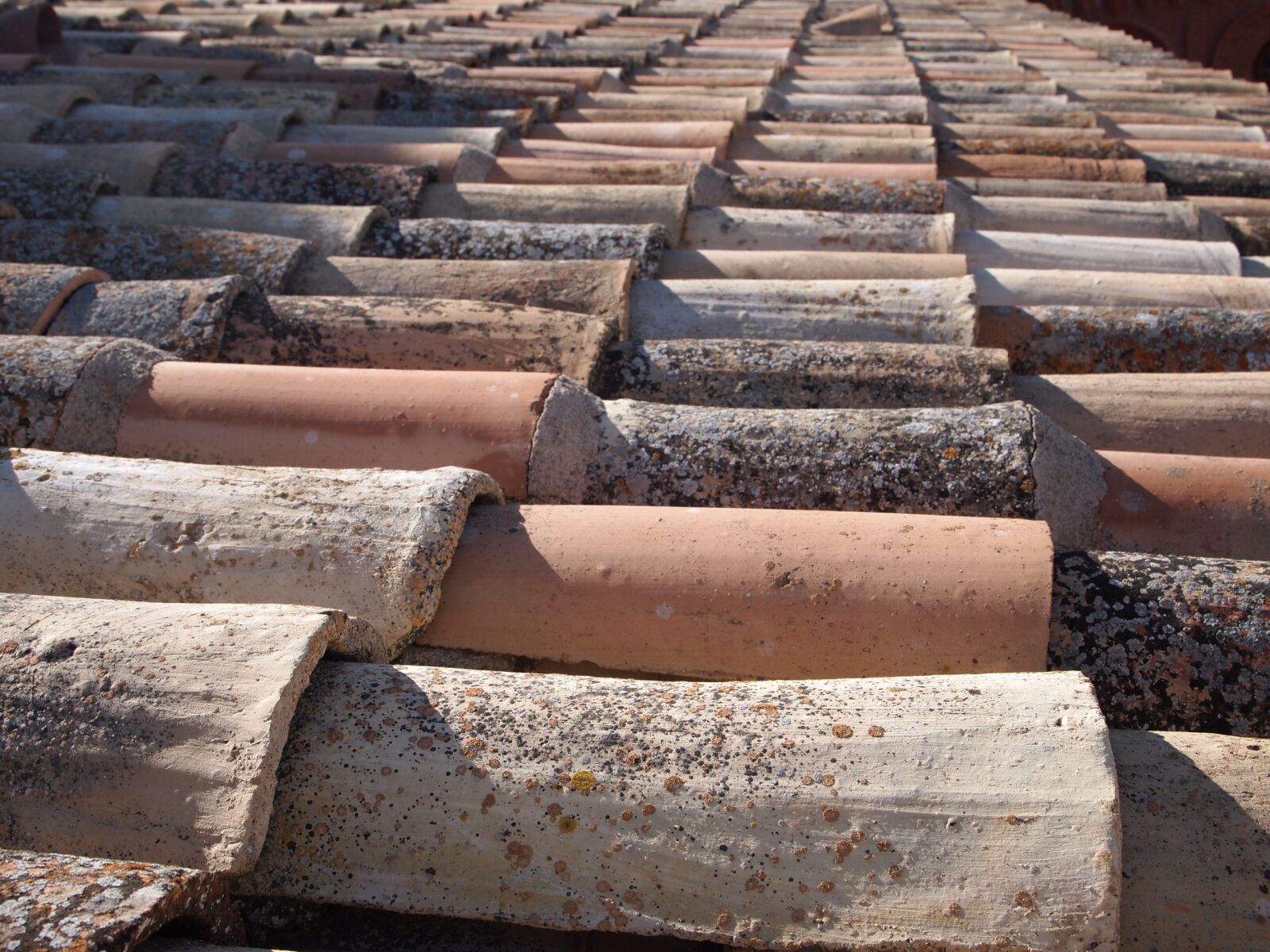 Olympus PEN E-PL1 sample photo. Roof, tile, construction photography